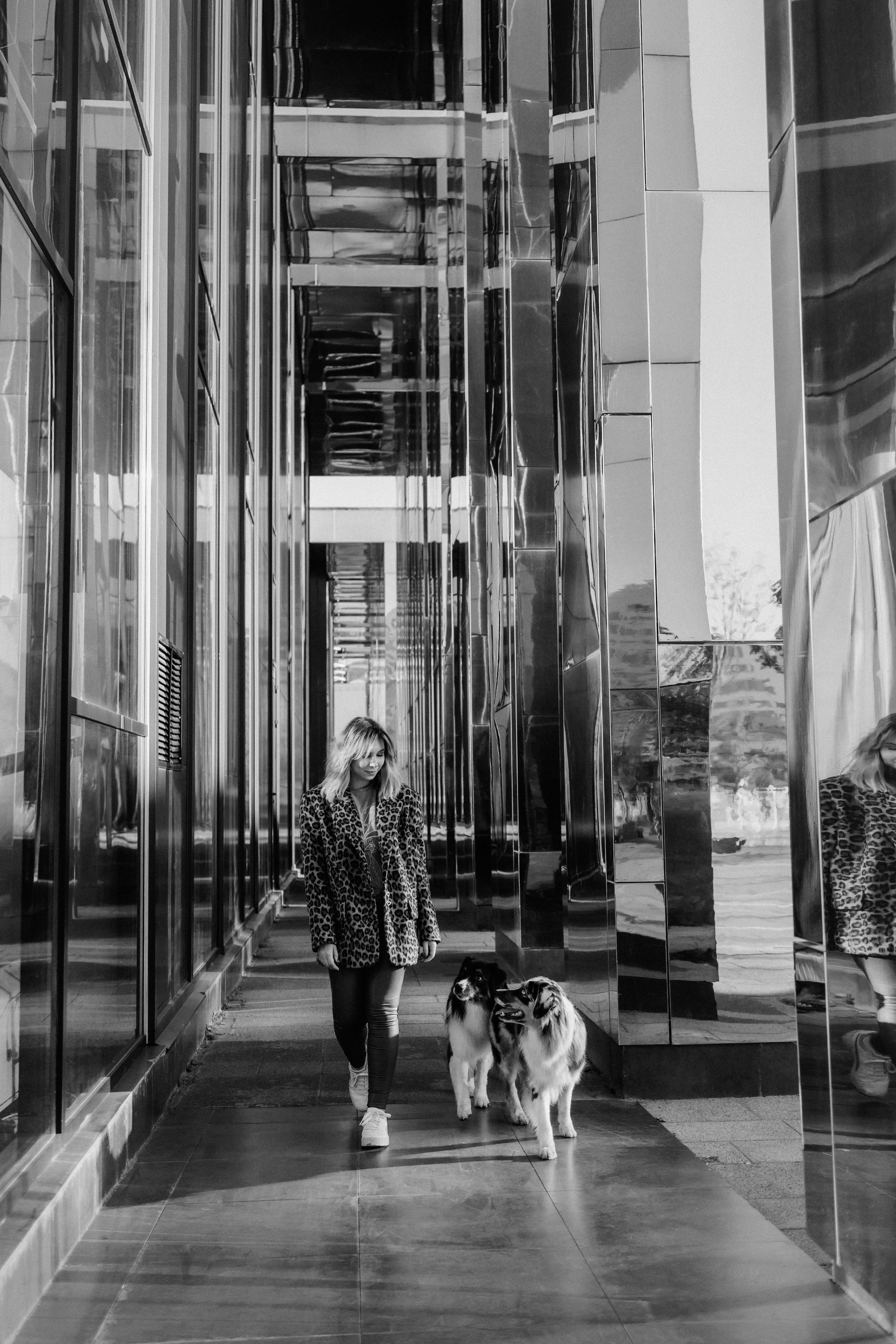 Аня, Чарли и Ева. Фотограф-анималист Елена Радченко, Москва