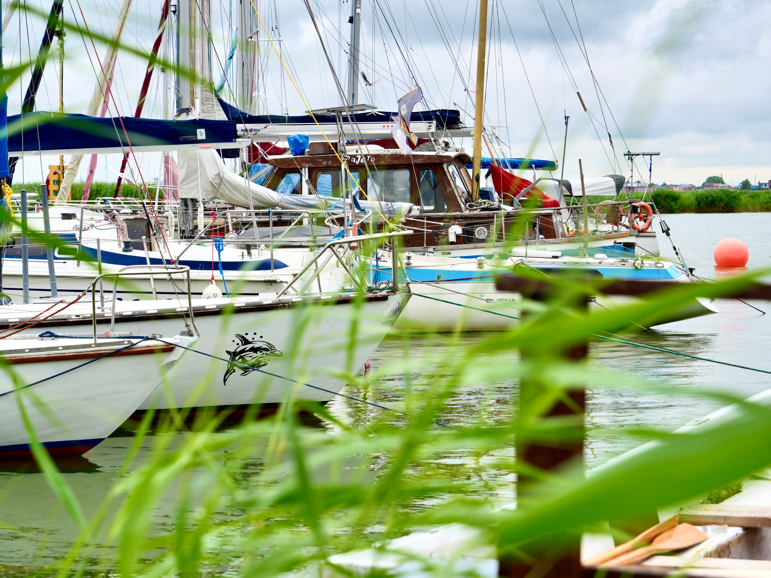 Регата в Калининграде. Событийный фотограф в Москве Юлия Папиянц