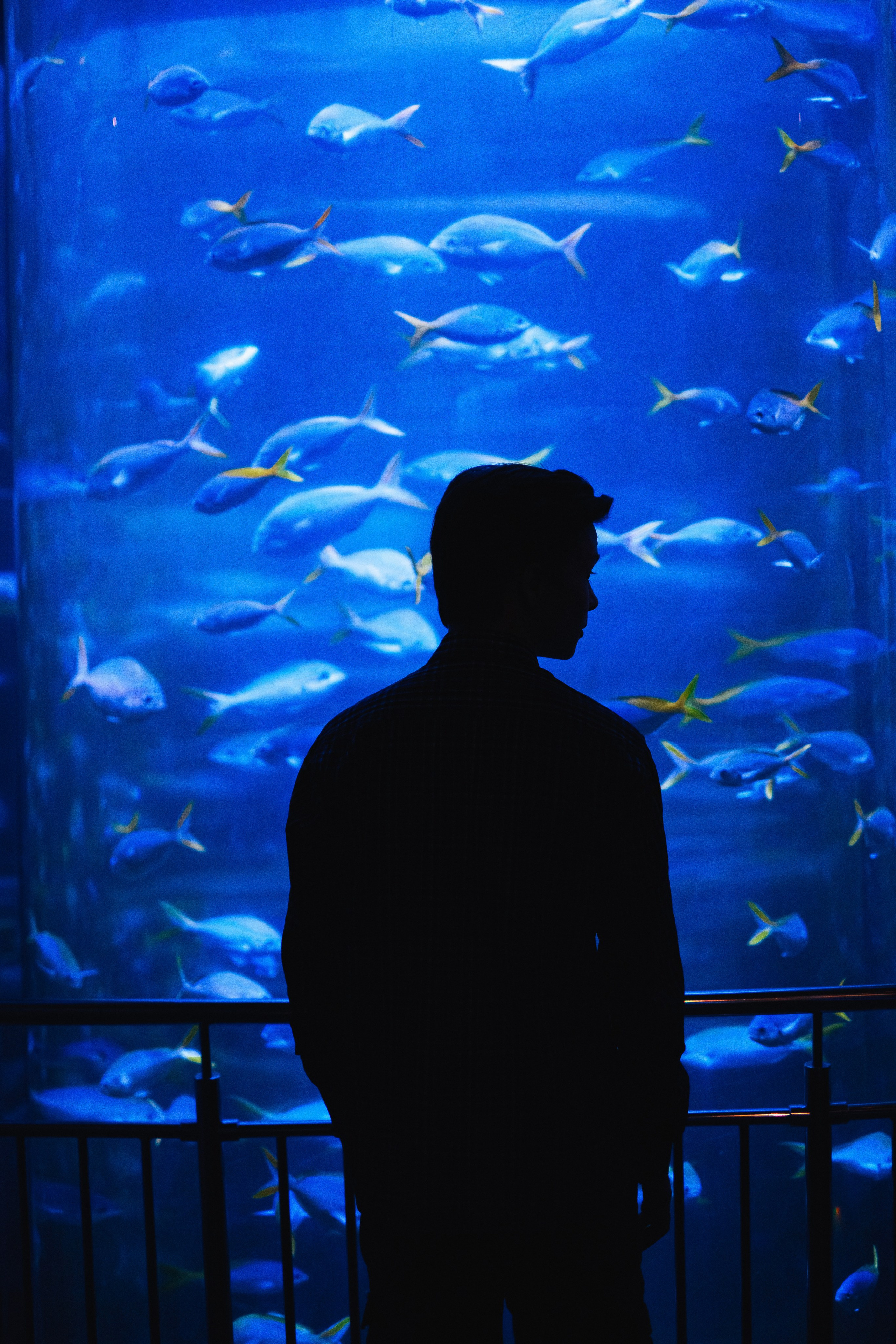 Океанариум. Фотограф Благовещенска Яна