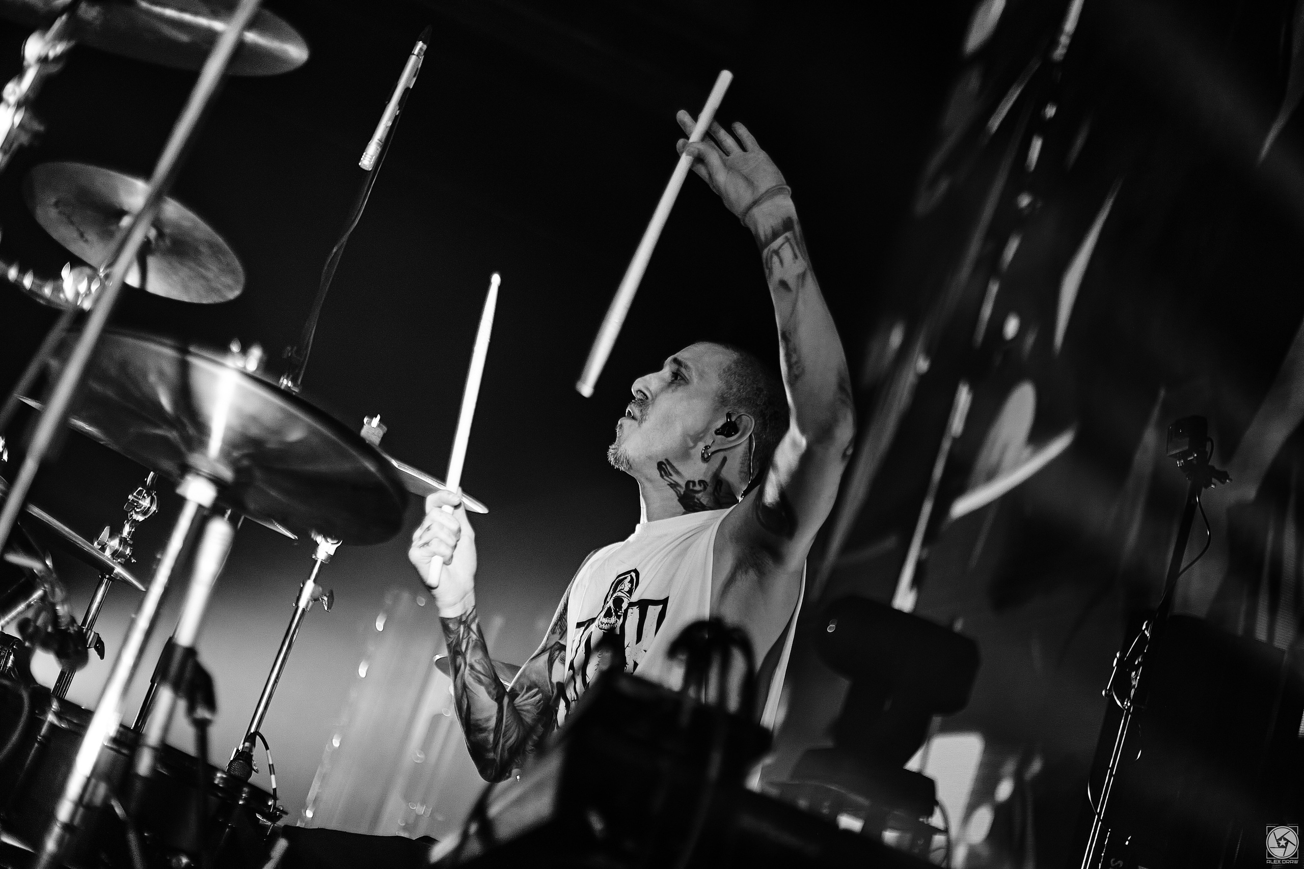 ROCK PRIVET / Москва, TAU, 23.11.2025 / WB. Фотограф Москва Concerts photo / Fashion photо