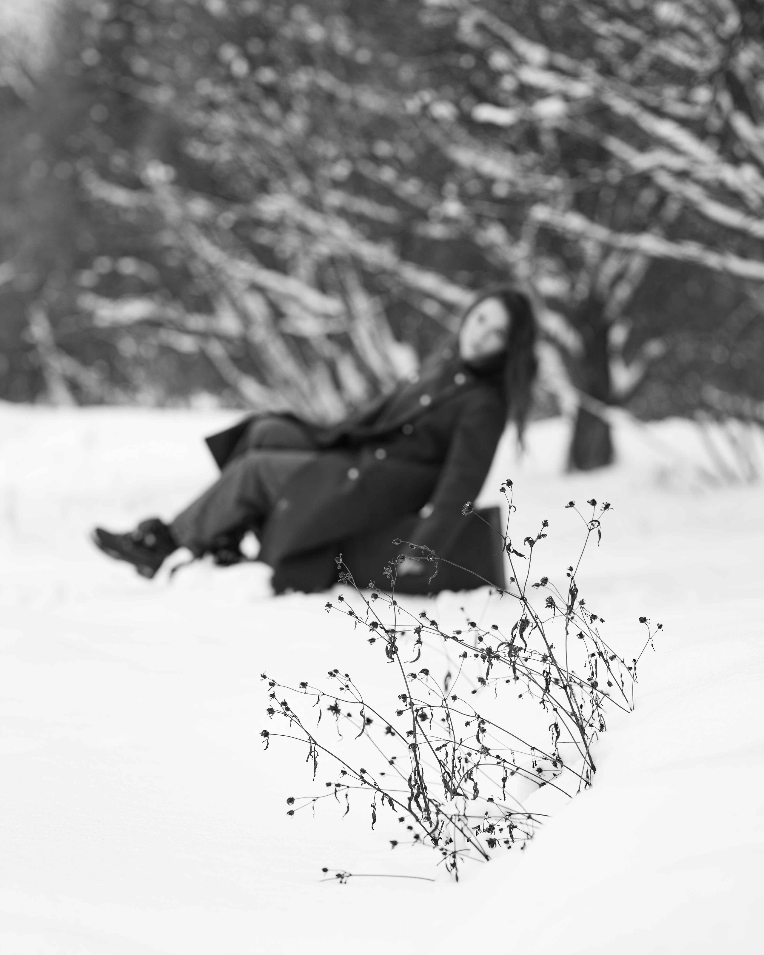 Фотосессия в заснеженном парке. Портретный фотограф Екатерина Лысенко, Москва