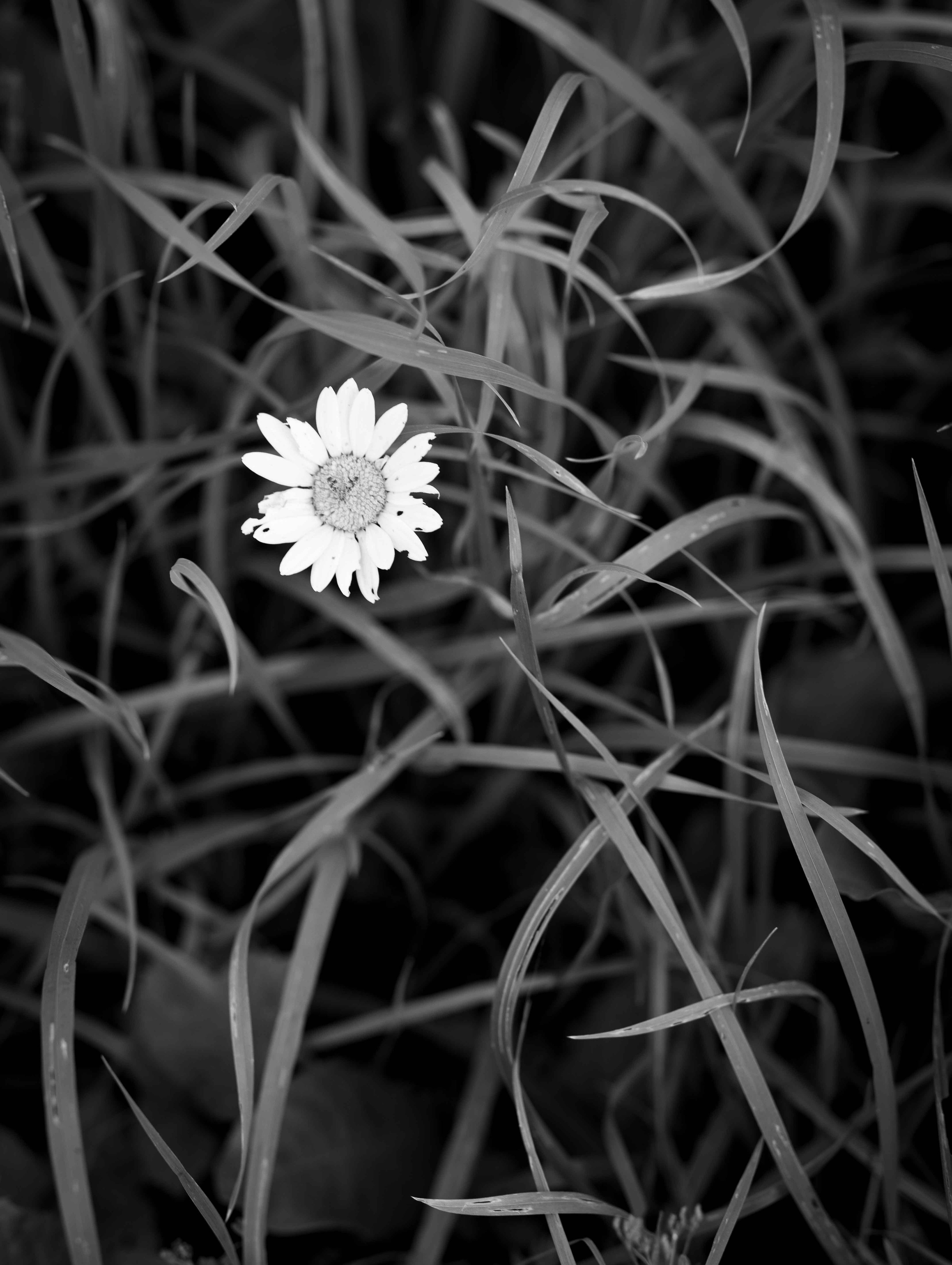 Саша. Граффити. Любовь. Портретный фотограф Екатерина Лысенко, Москва