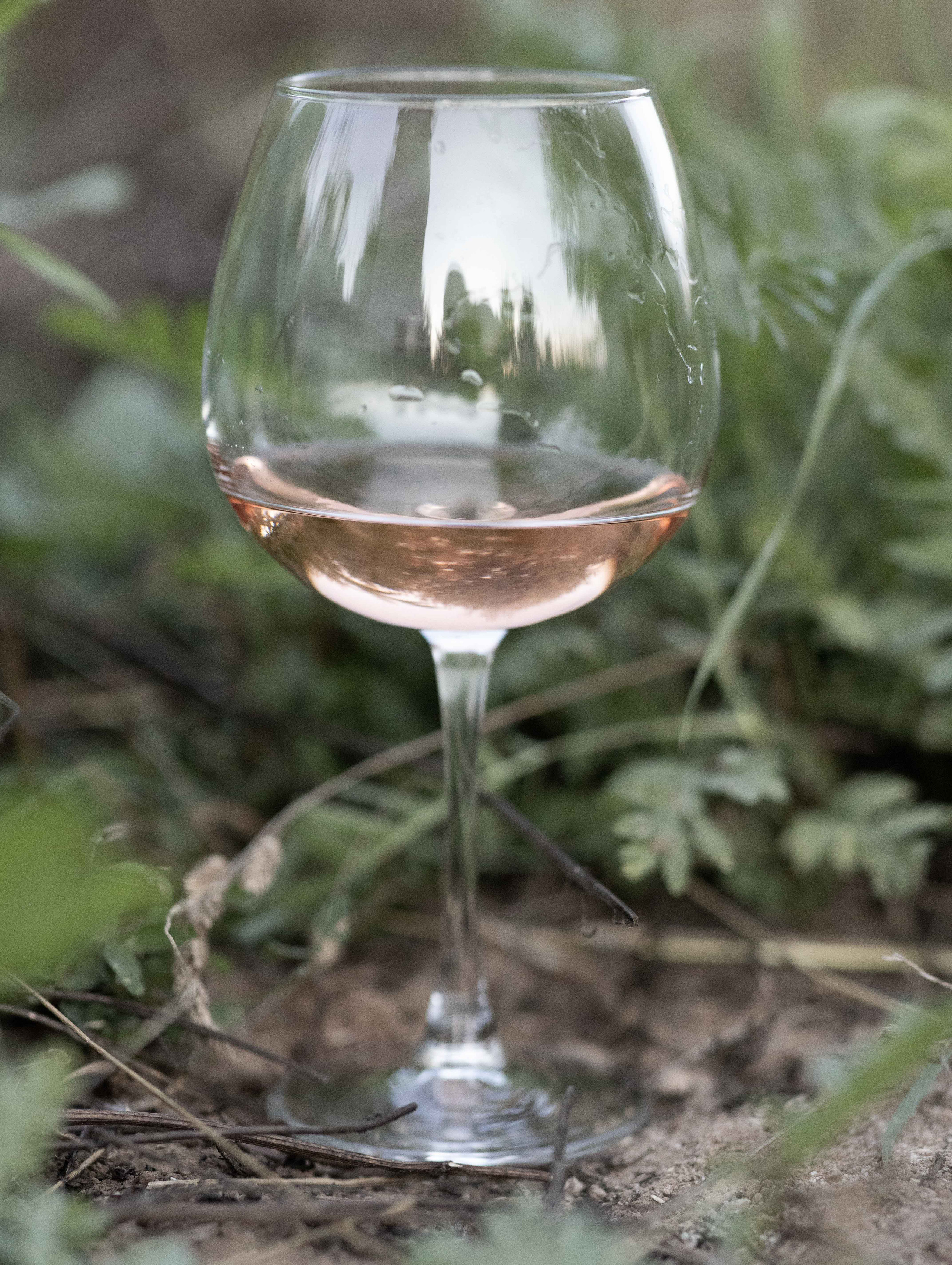 Фото с полевыми цветами. Портретный фотограф Екатерина Лысенко, Москва