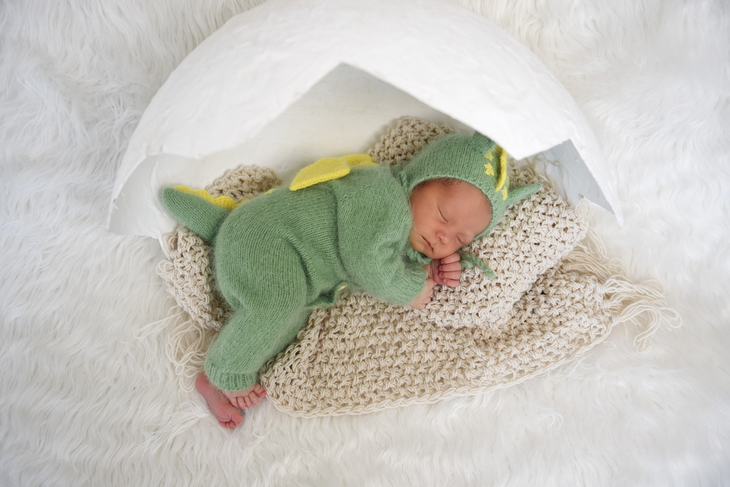 Артем-динозаврик. Семейный, детский и школьный фотограф в Димитровграде Наумова Екатерина