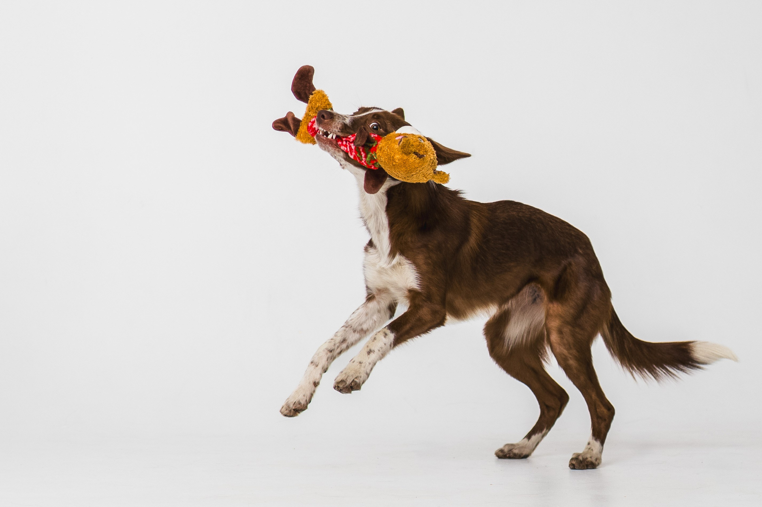 Воркшоп по импульсному свету