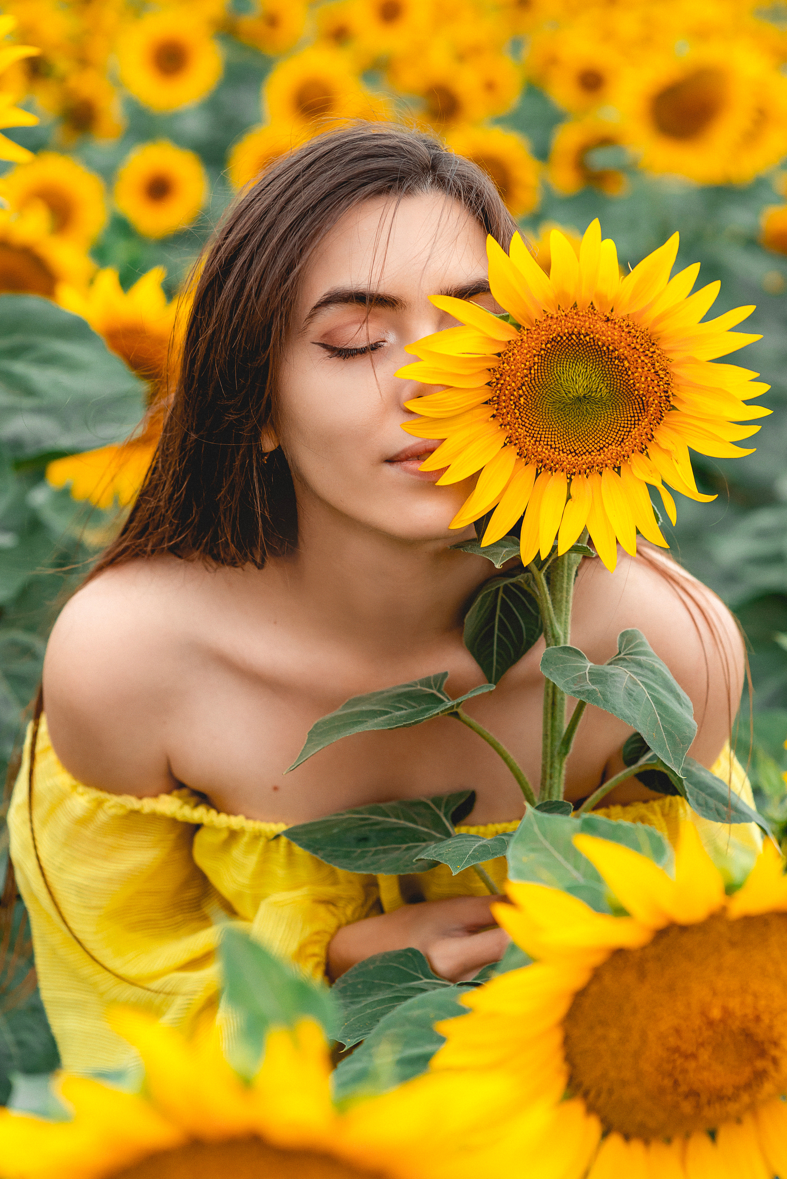 Красивые съемки в подсолнухах. Семейный и детский фотограф Наталья Горда