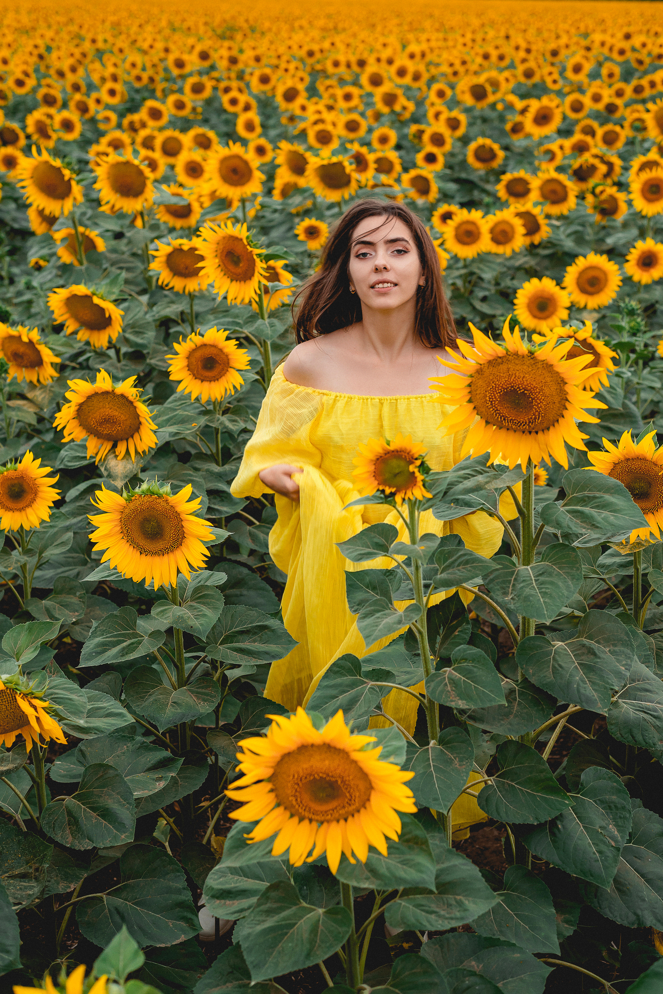 Красивые съемки в подсолнухах. Семейный и детский фотограф Наталья Горда