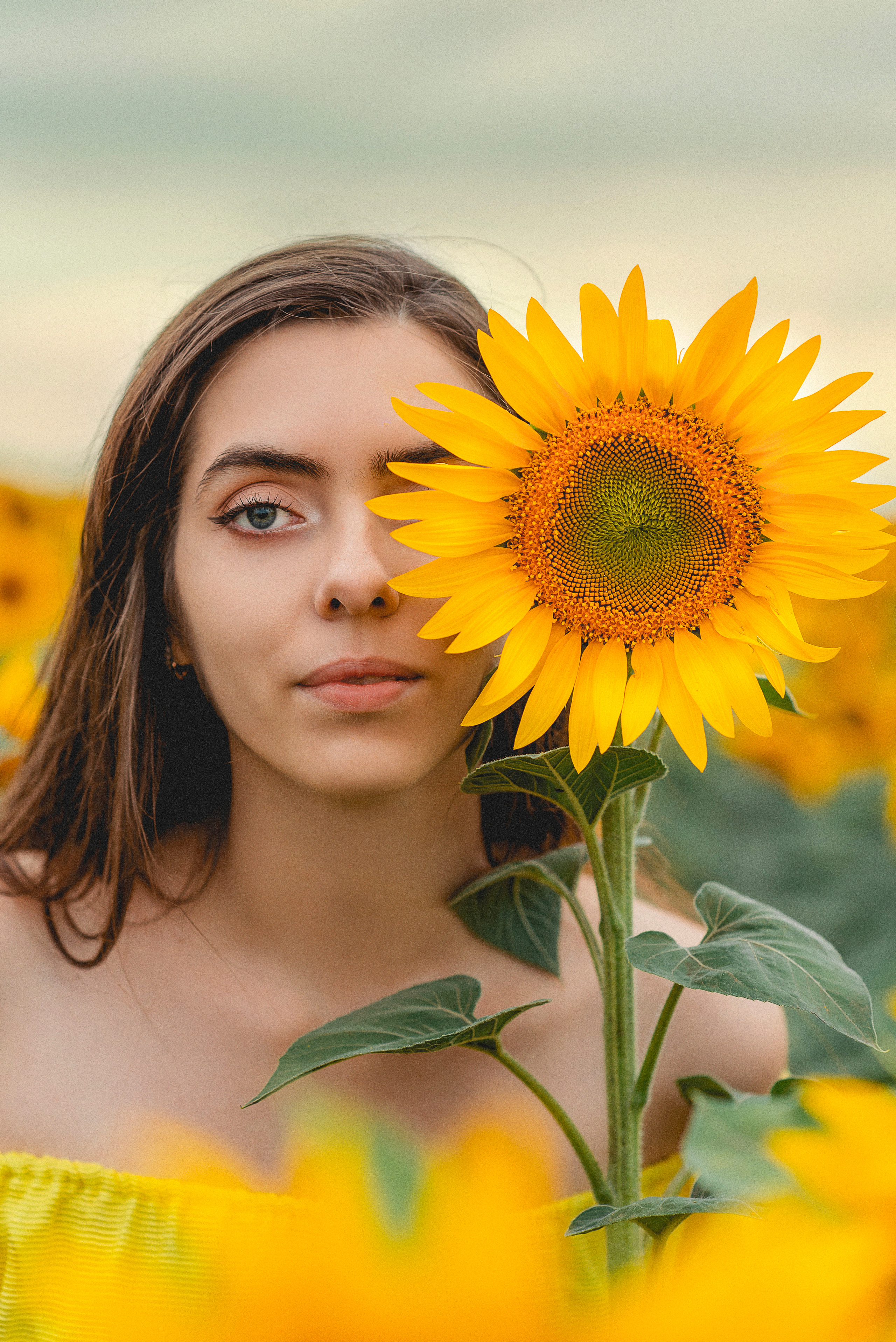 Съемки в полях подсолнечника. Семейный и детский фотограф Наталья Горда