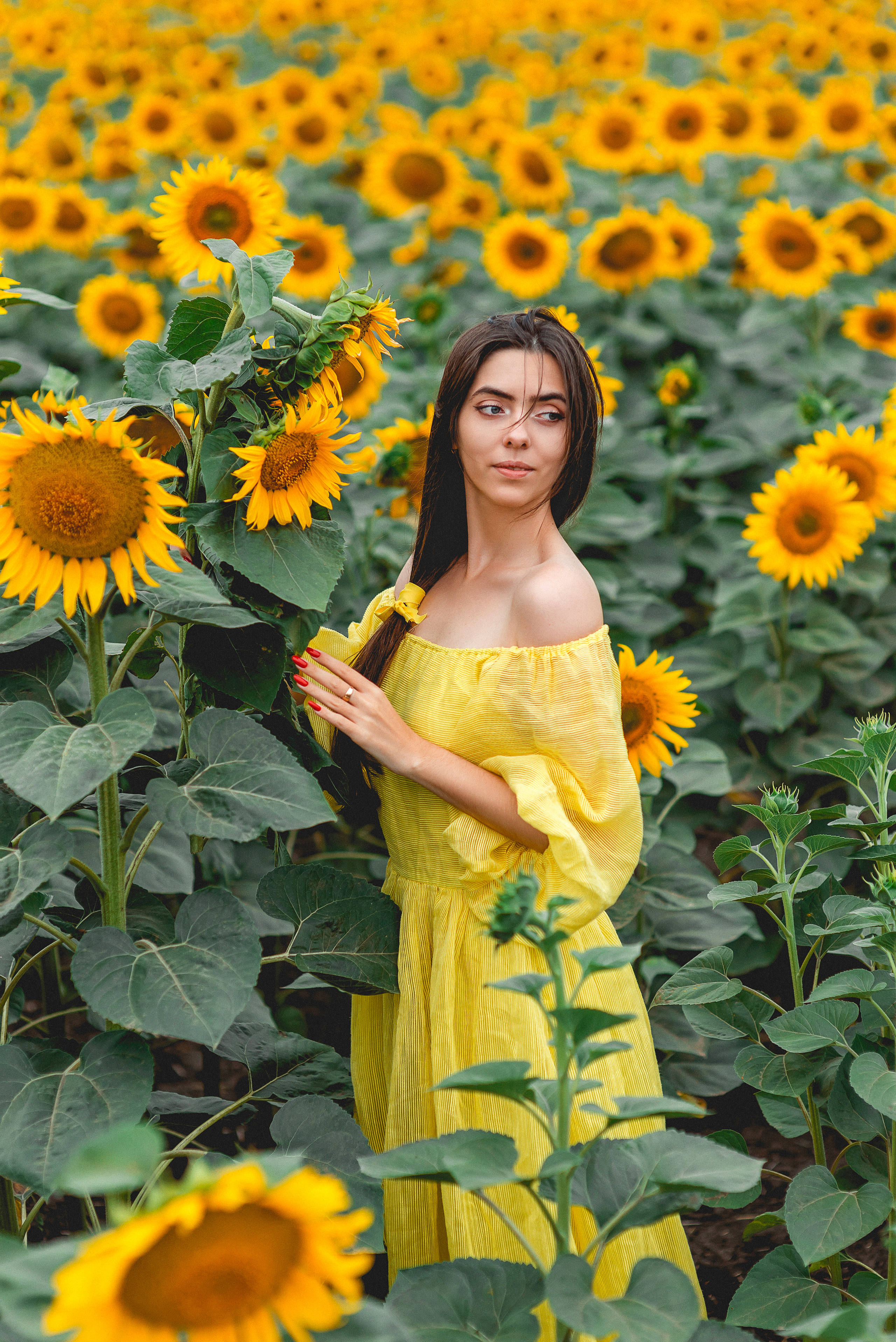 Съемки в полях подсолнечника. Семейный и детский фотограф Наталья Горда