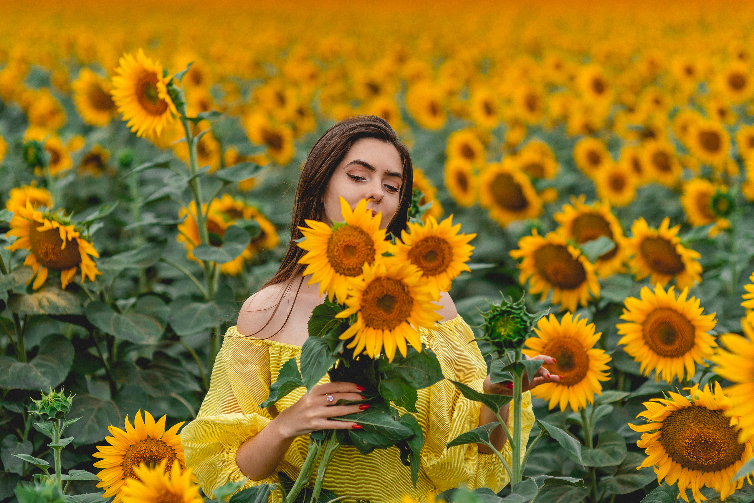 Съемки в полях подсолнечника. Семейный и детский фотограф Наталья Горда