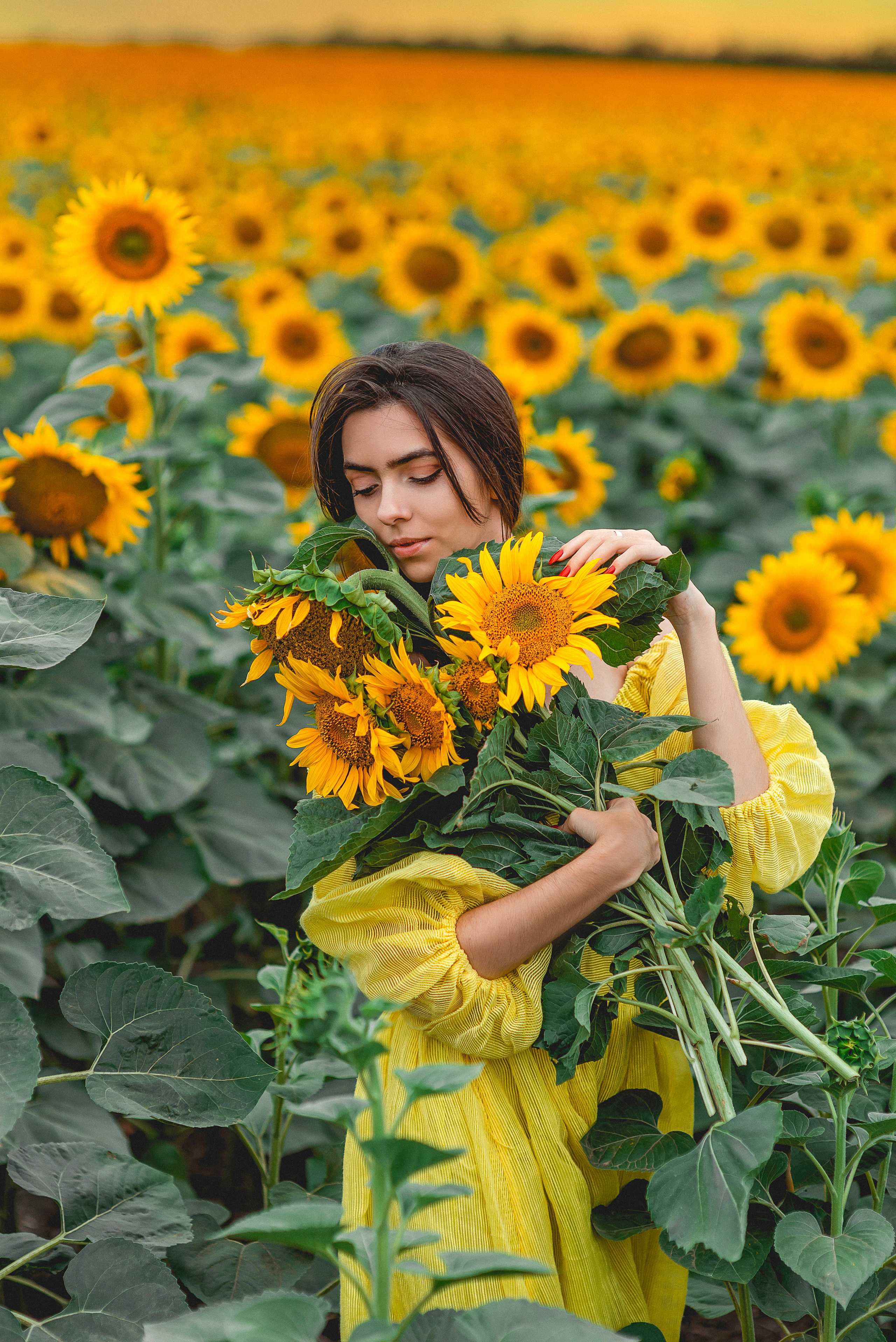 Красивые съемки в подсолнухах. Семейный и детский фотограф Наталья Горда