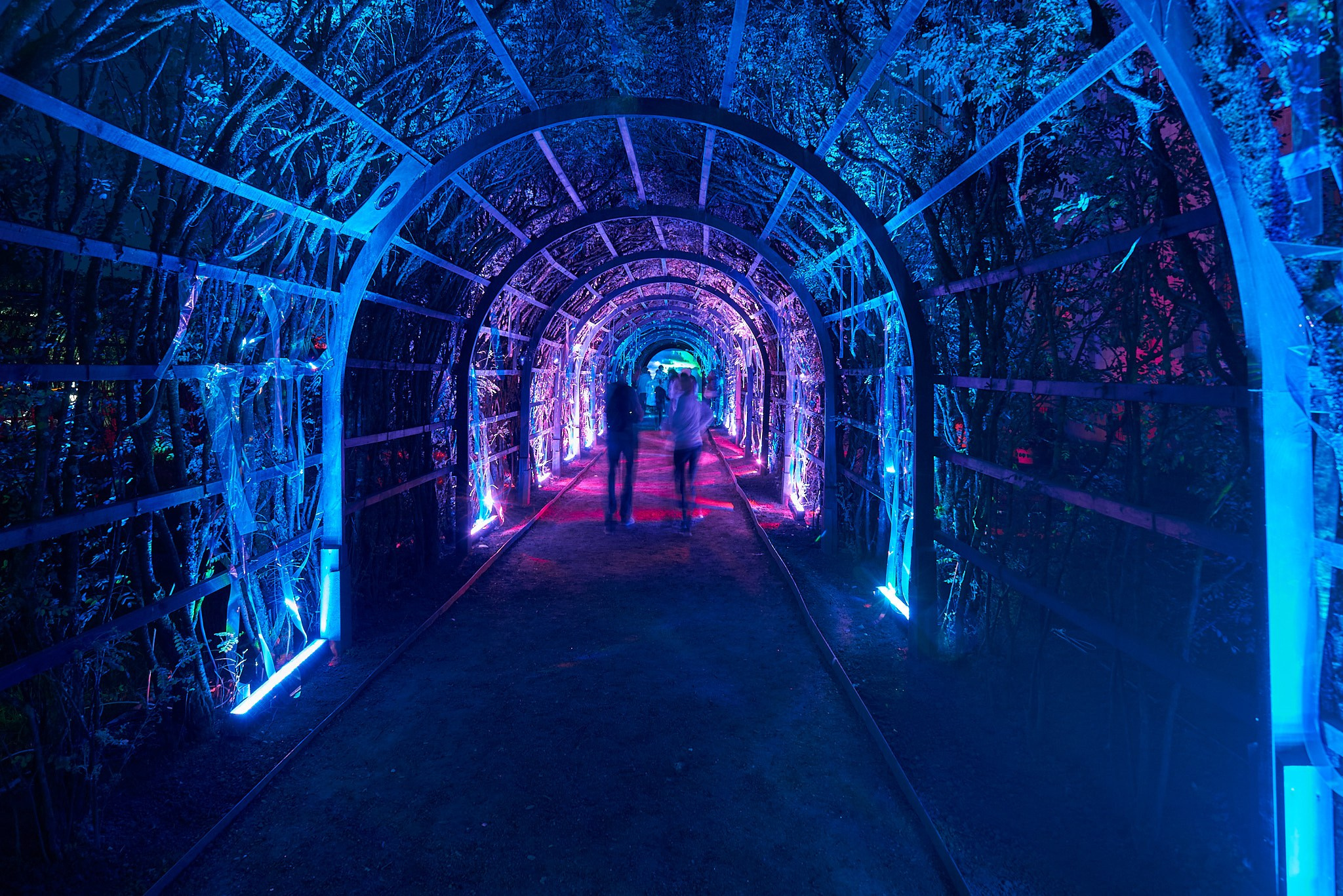 Ночь света 2023 гатчина. Иван Ступа, репортажный фотограф в Санкт-Петербурге и Ленинградской области