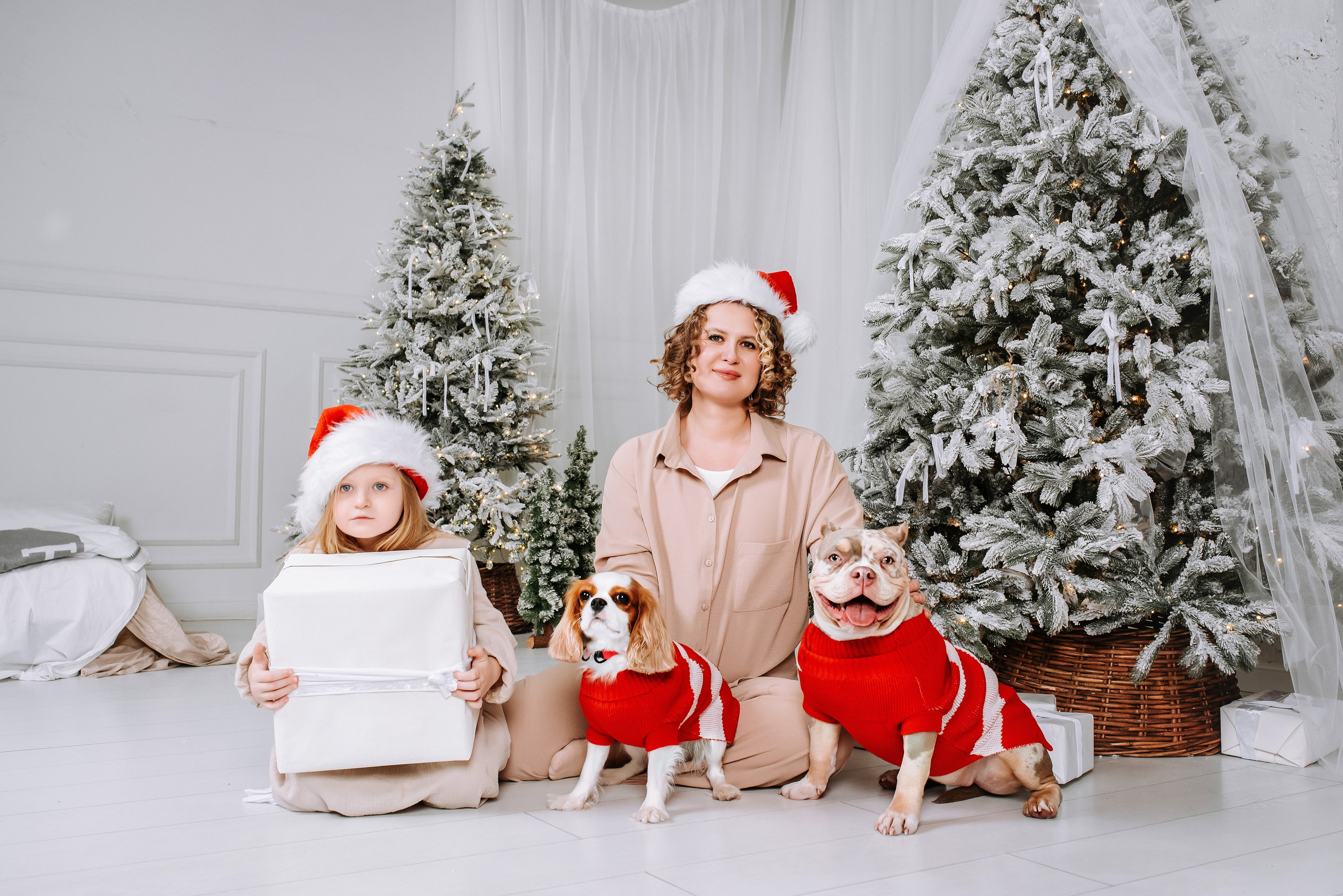 Семейная съёмка с питомцами в фотостудии. Фотограф Диана Оленина Красноярск / Братск