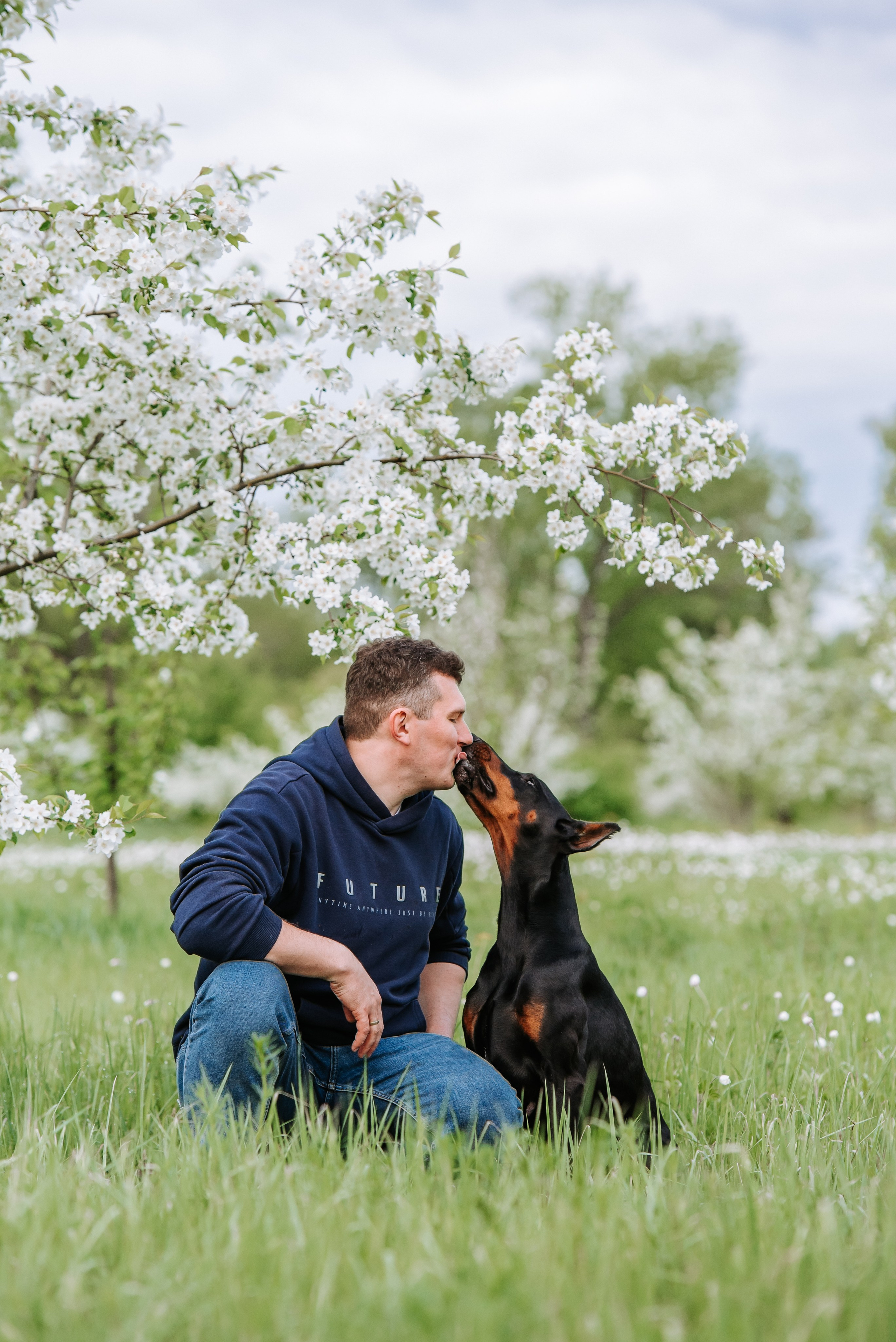 Цветение с доберманами. Фотограф Диана Оленина Красноярск / Братск