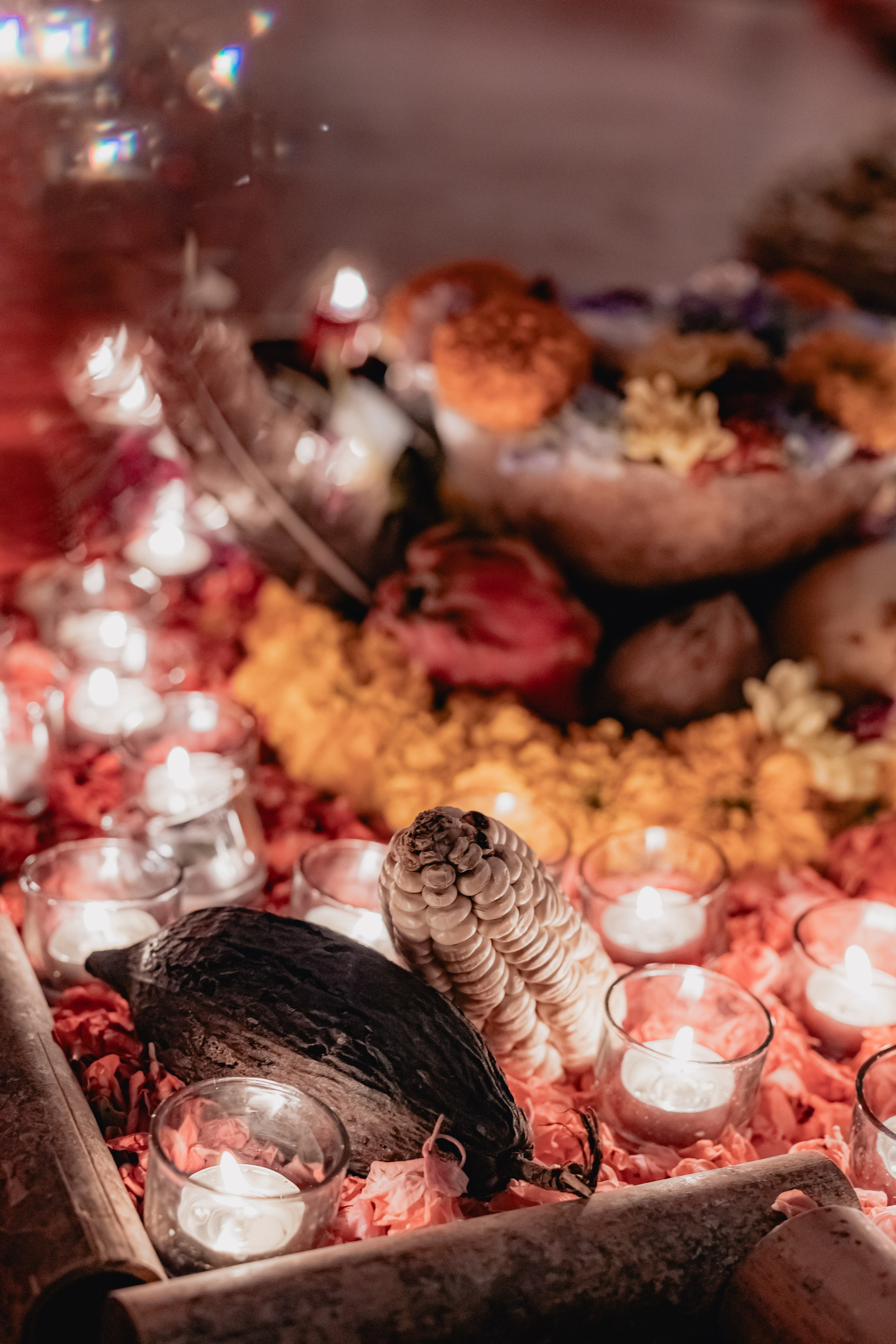 Cacao ceremony Full moon jan w Juan. Mariam Bagdasaryan