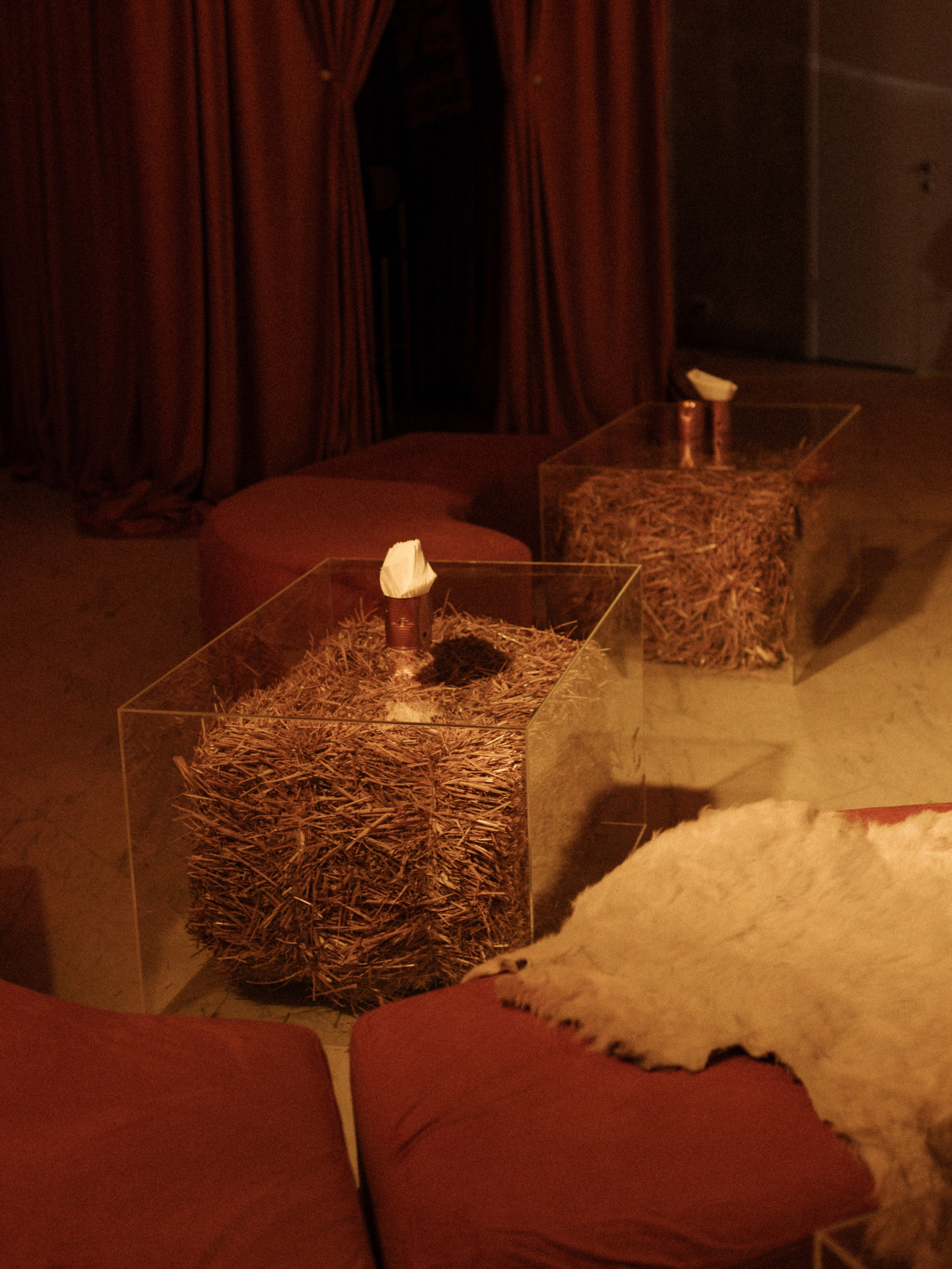 МЕДЬ ЗАПАДА | 19.12.2025 | г. Москва, Согласие Холл. МашаШарики | Декоратор | Москва