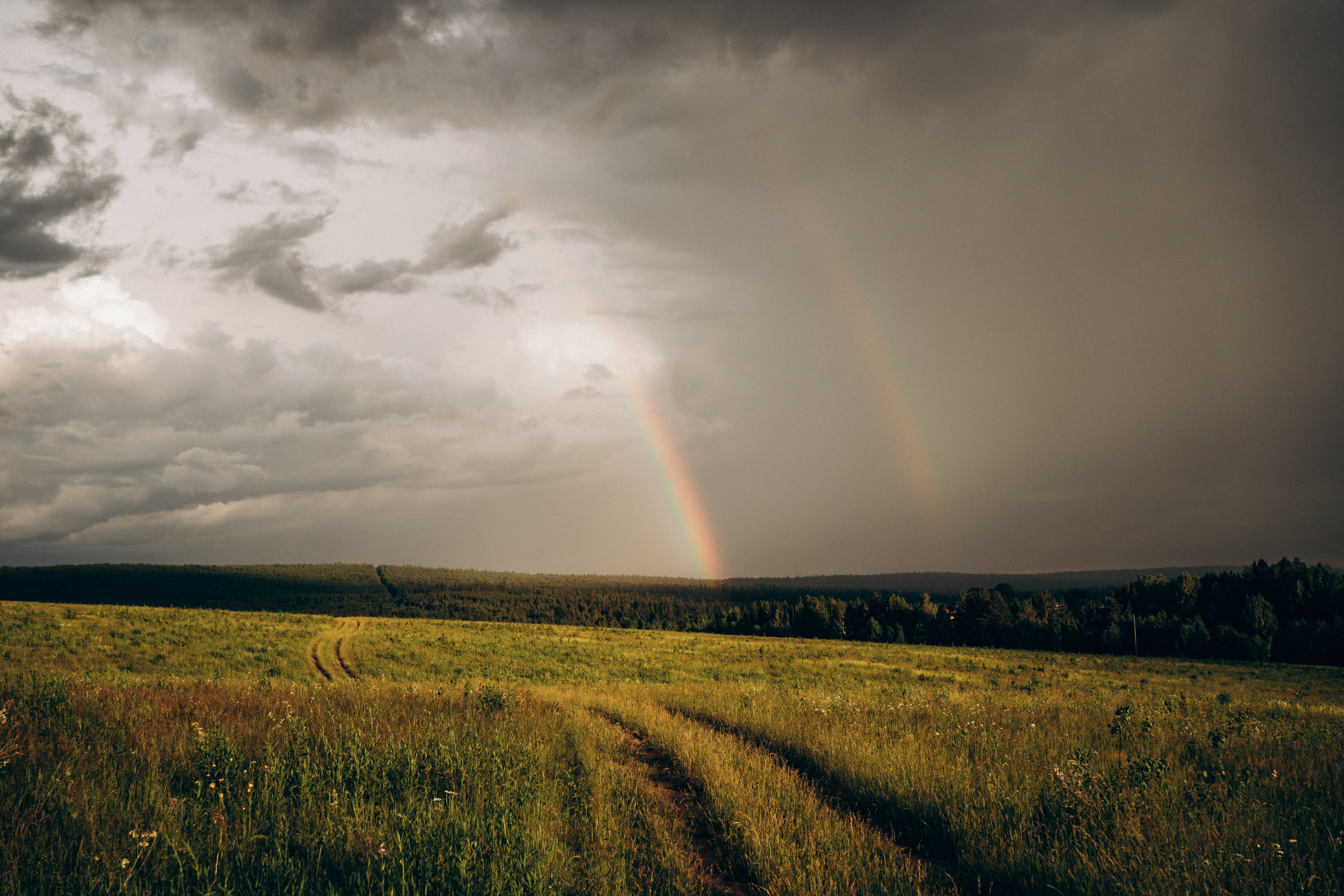 Алсу, Саша, Нага и Тако. Фотограф-анималист Анастасия Большакова