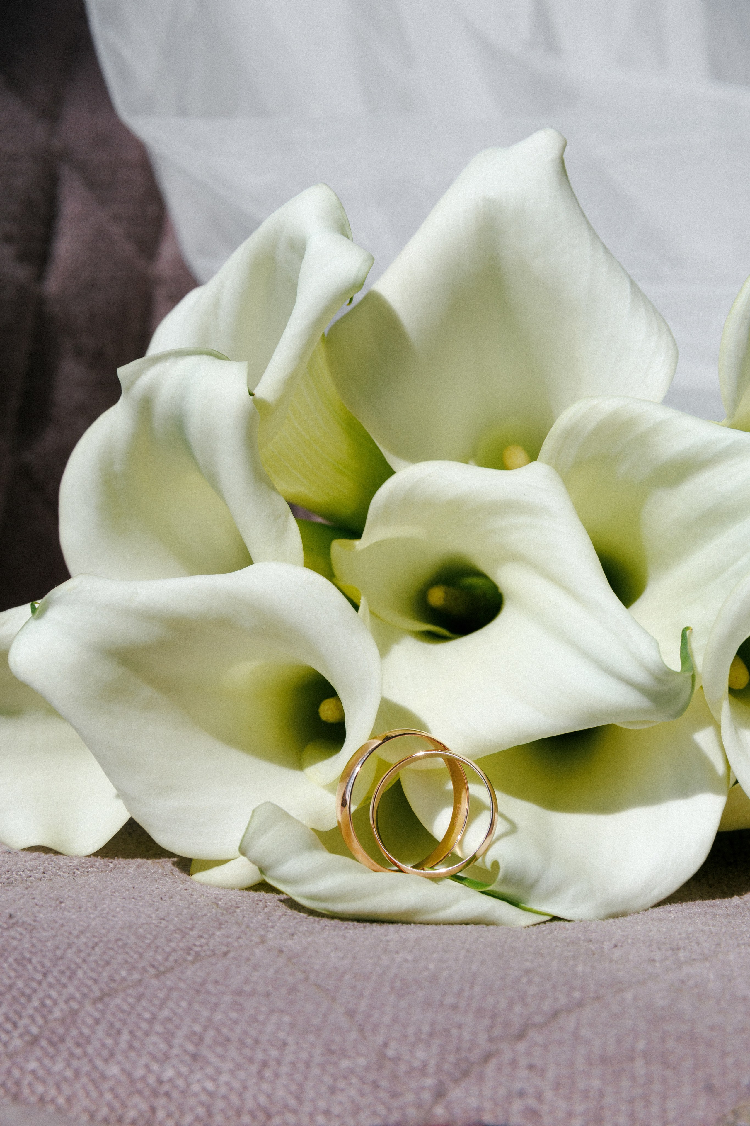 Ярослав и Евгения. Свадебный и репортажный фотограф в Санкт-Петербурге Николай Голованов