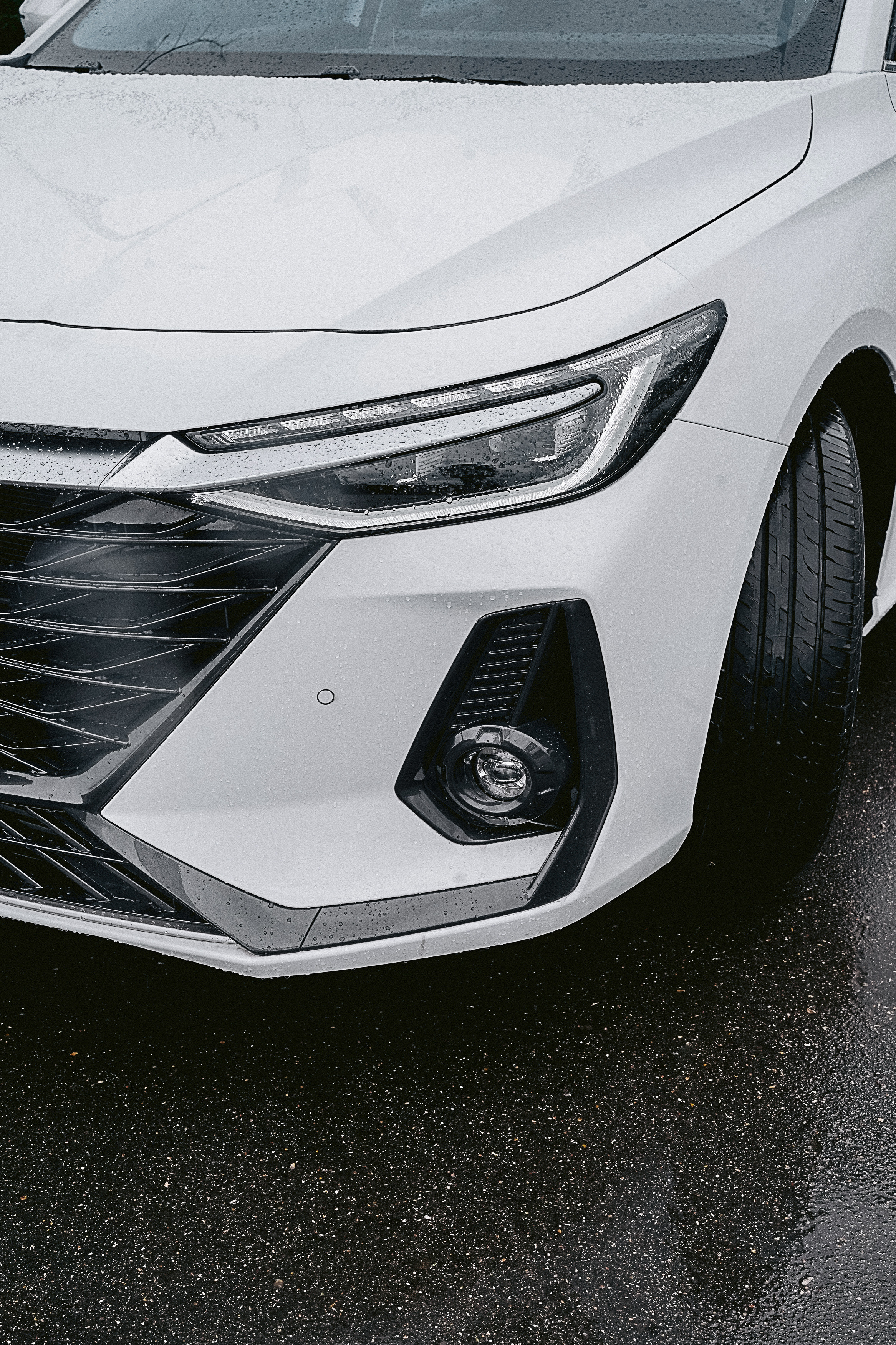 Презентация Arrizo 8. Свадебный фотограф Москва