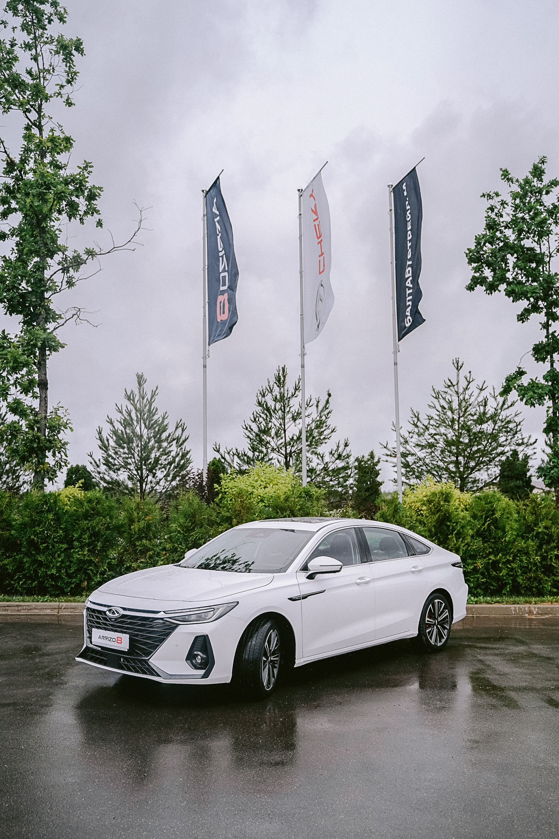 Презентация Arrizo 8. Свадебный фотограф Москва