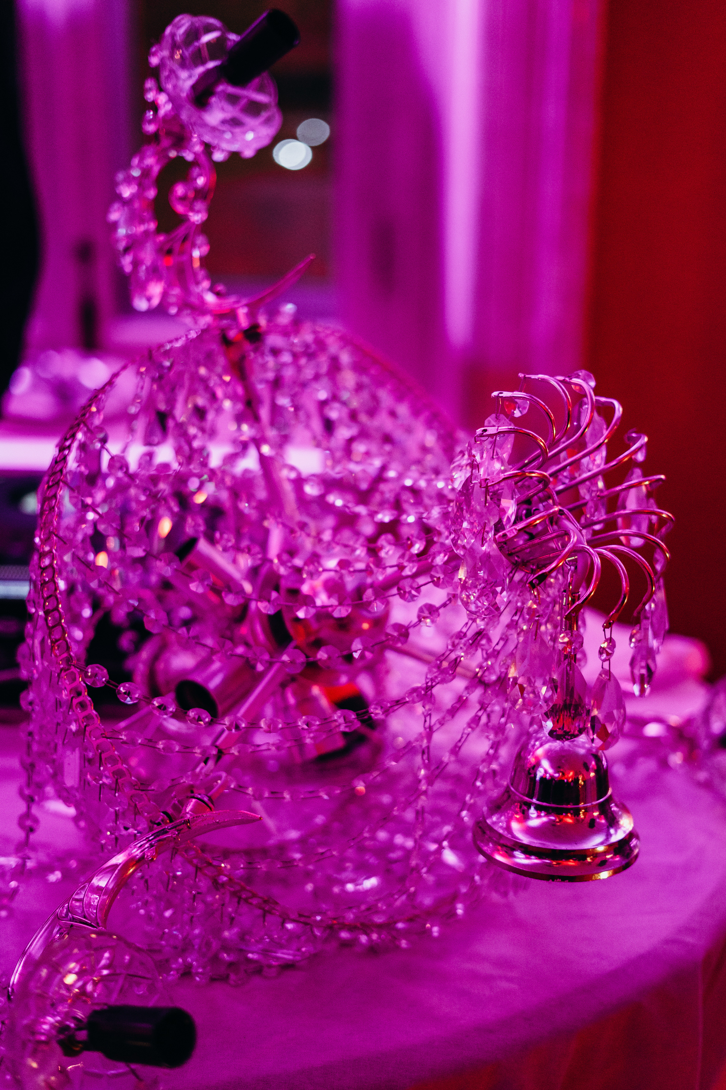 Открытие 21 Kult. Свадебный фотограф Москва