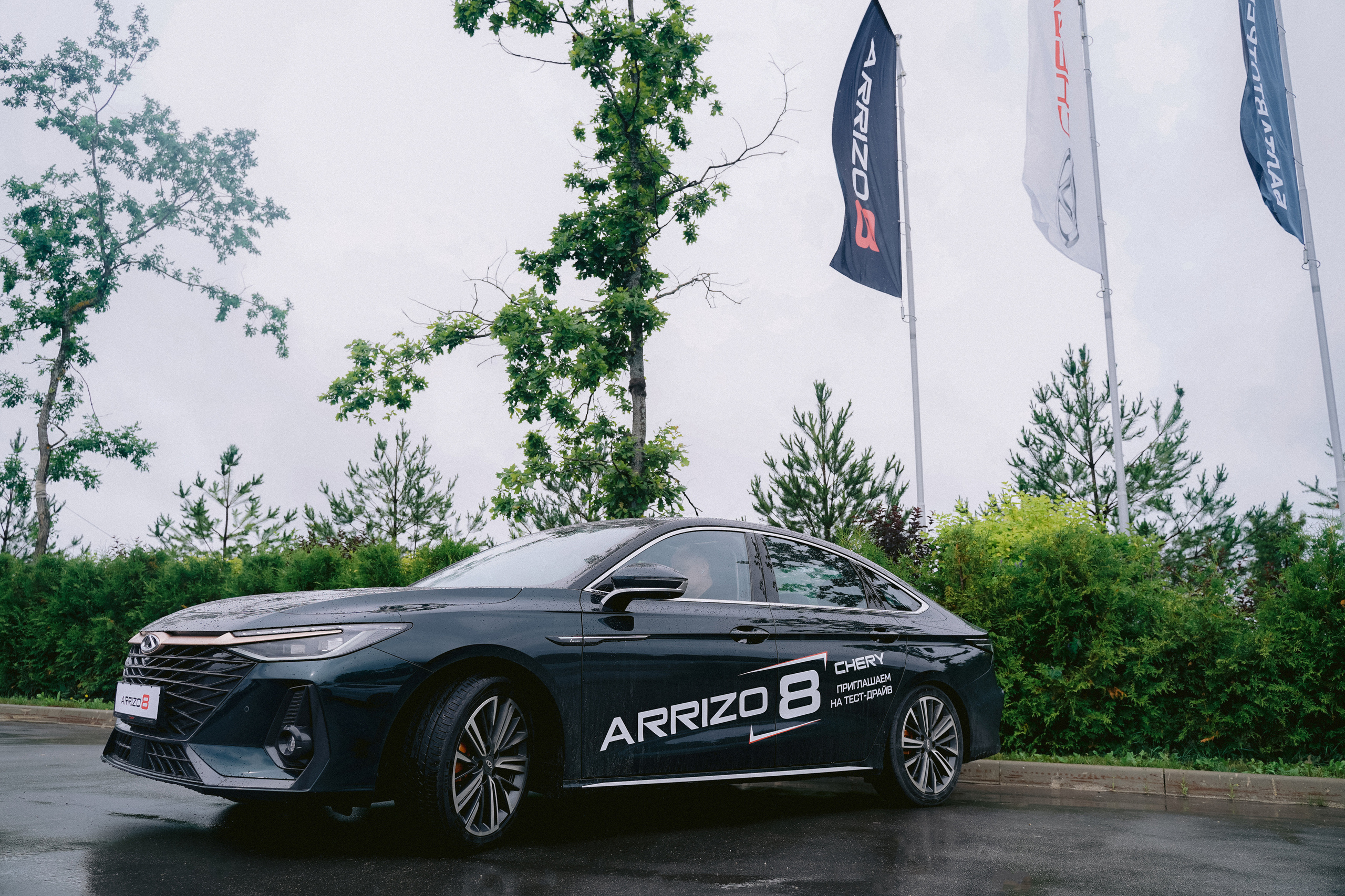 Презентация Arrizo 8. Свадебный фотограф Москва