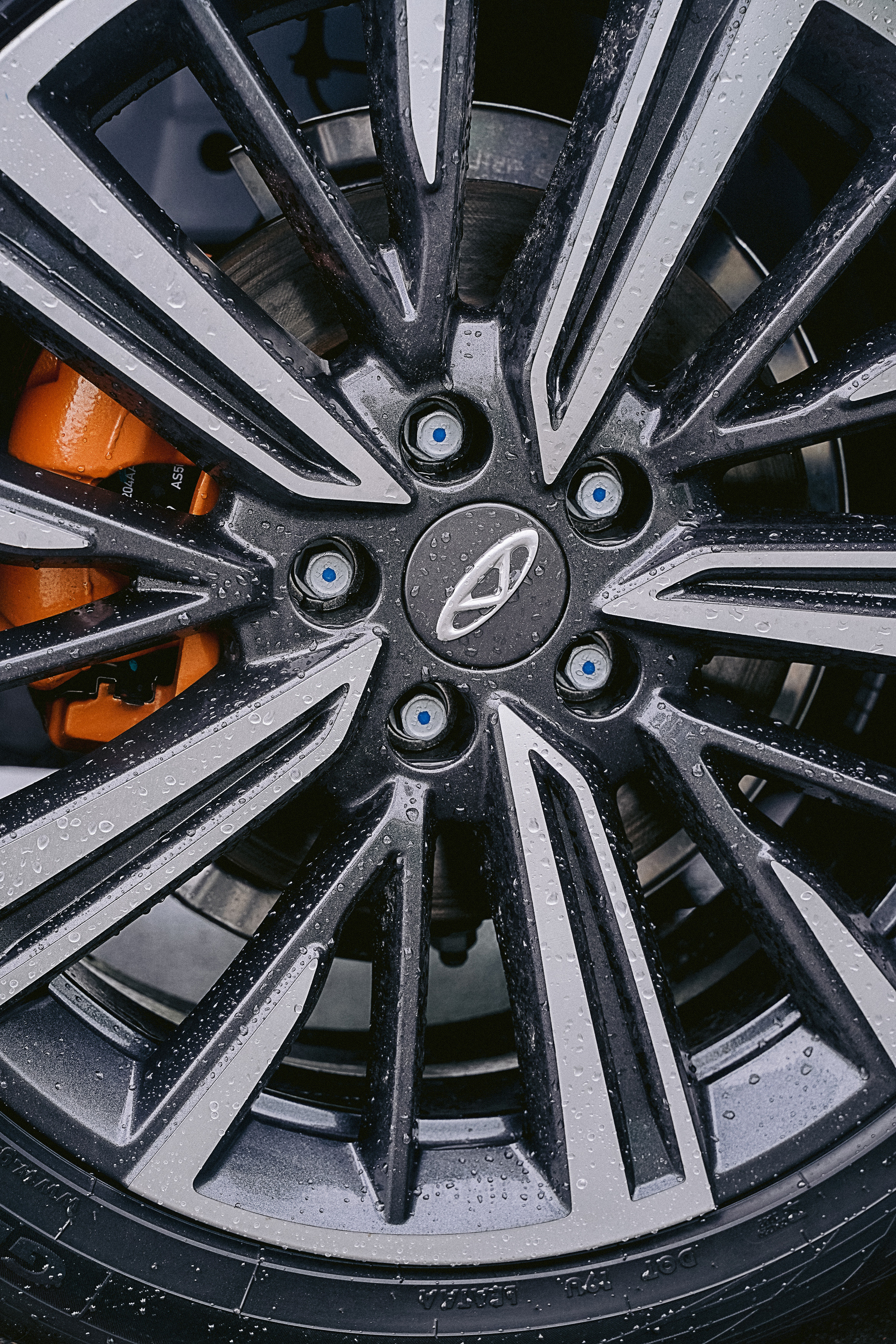 Презентация Arrizo 8. Свадебный фотограф Москва