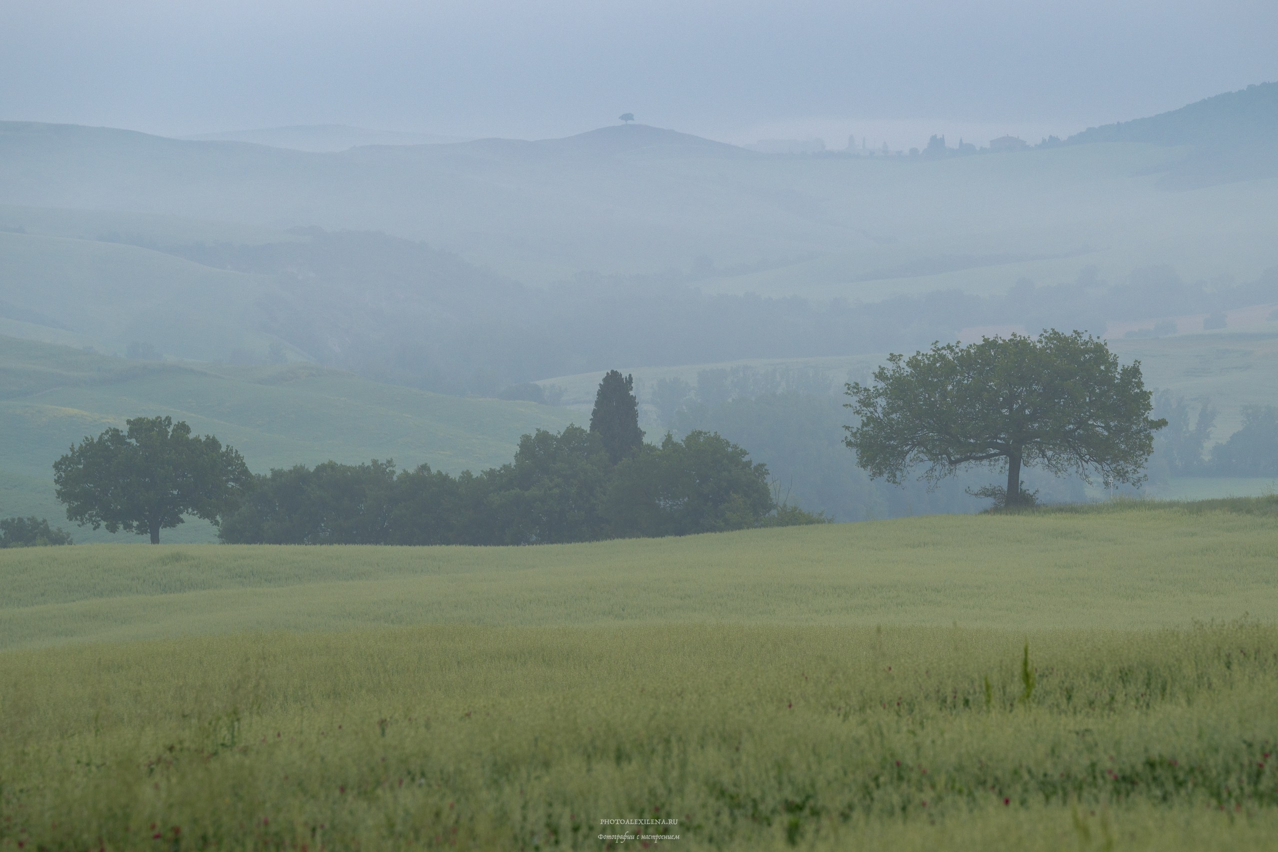 Великолепная Тоскана. Авторские стильные фотокартины