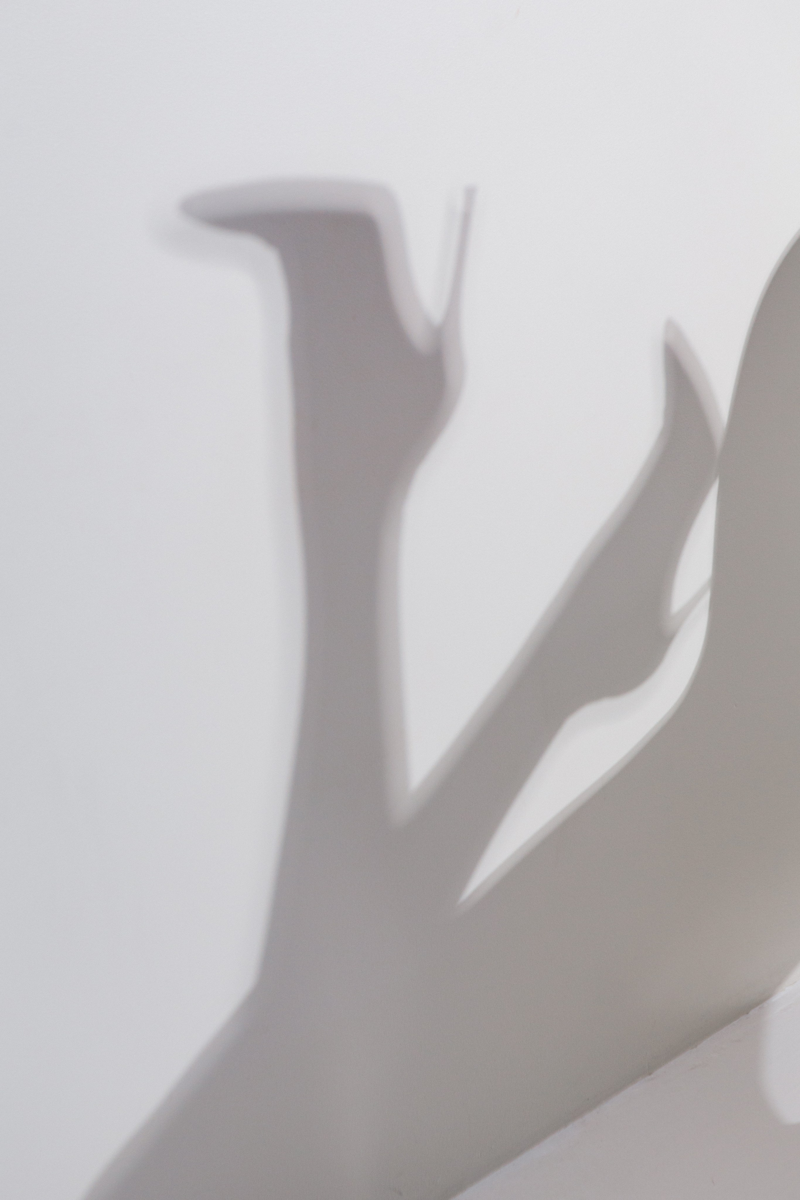 DIANA. Фотограф Ольга Лапшина