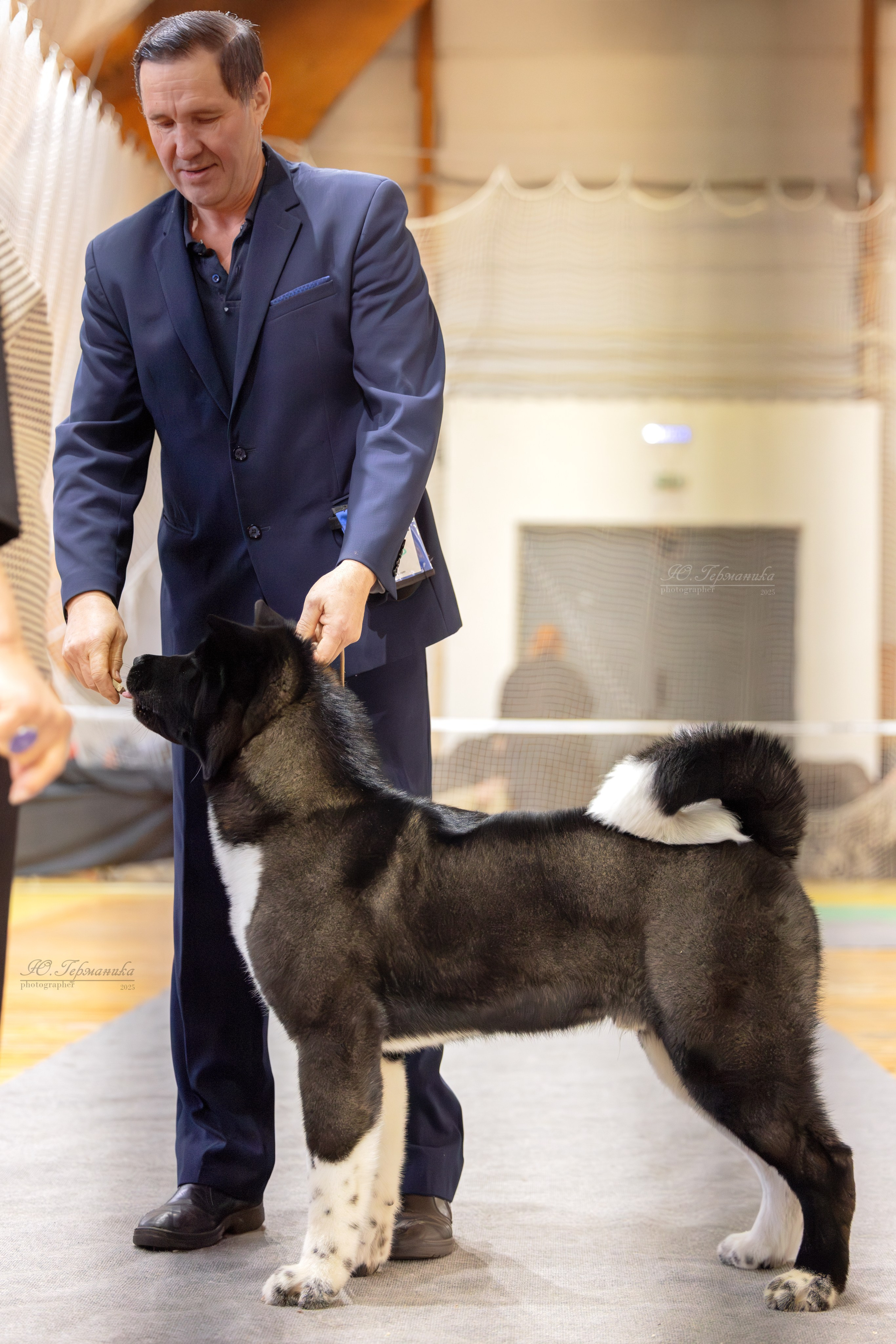 Тверь 21.12.2025. Фотограф-анималист Юлия Германика