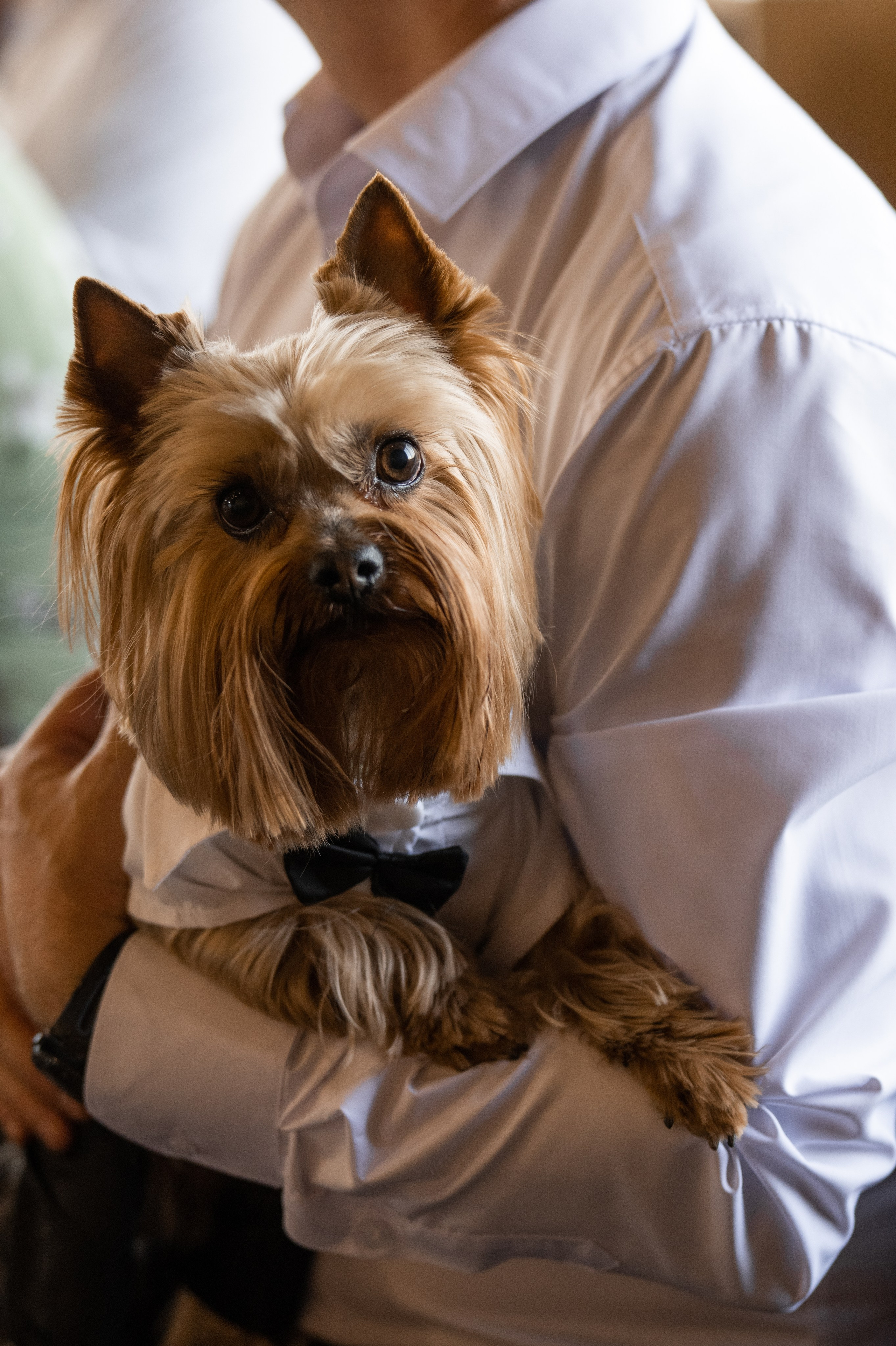 2024. Дима и Маша. Свадебный и семейный фотограф в Москве и Европе Евгения Амелина