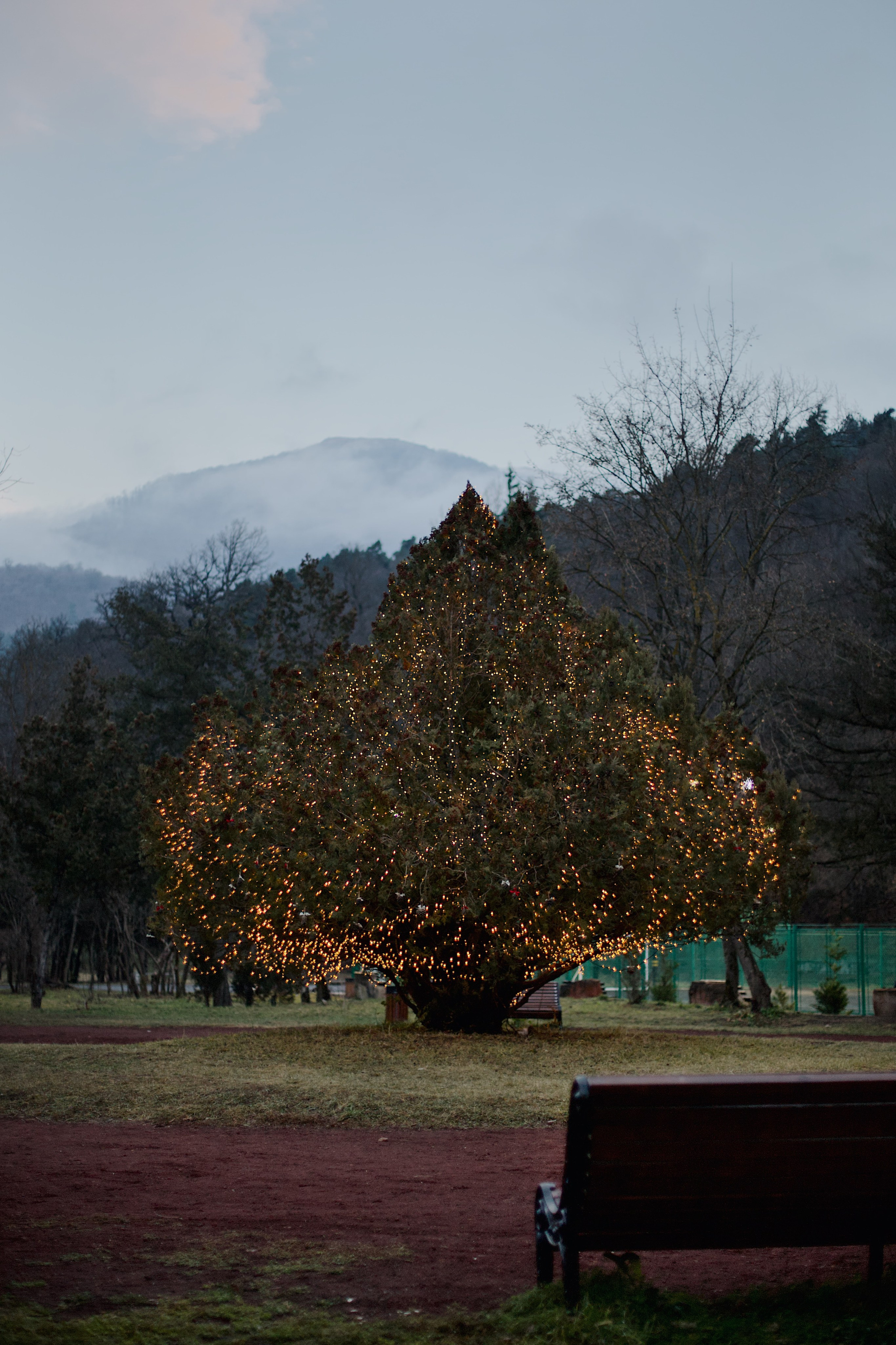 Christmas Tree opening in Dilijan city park. Фотограф в Армении Женя Гилевич