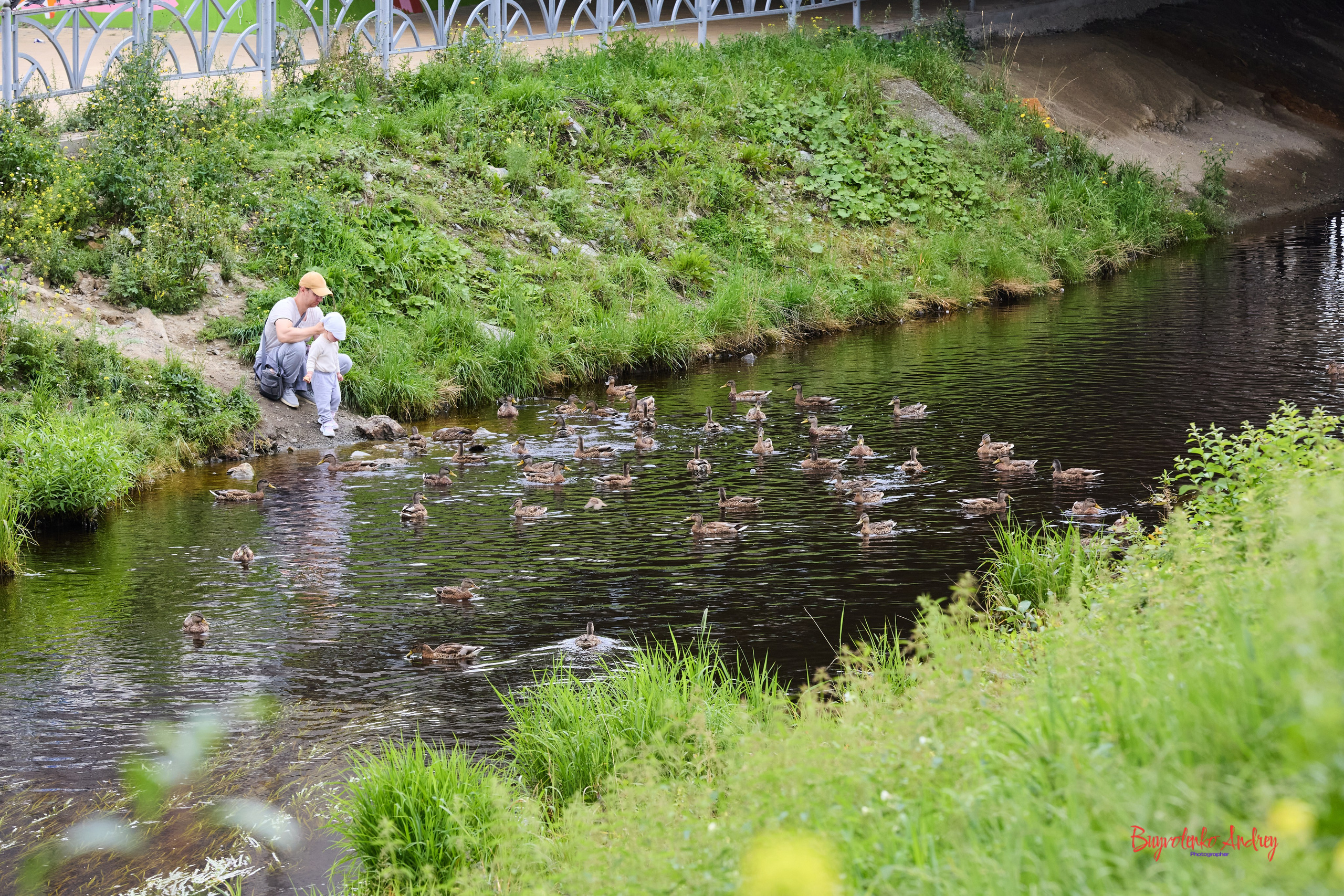 Проект фотопрогулка с хвостиком. Buyvolenko Andrey