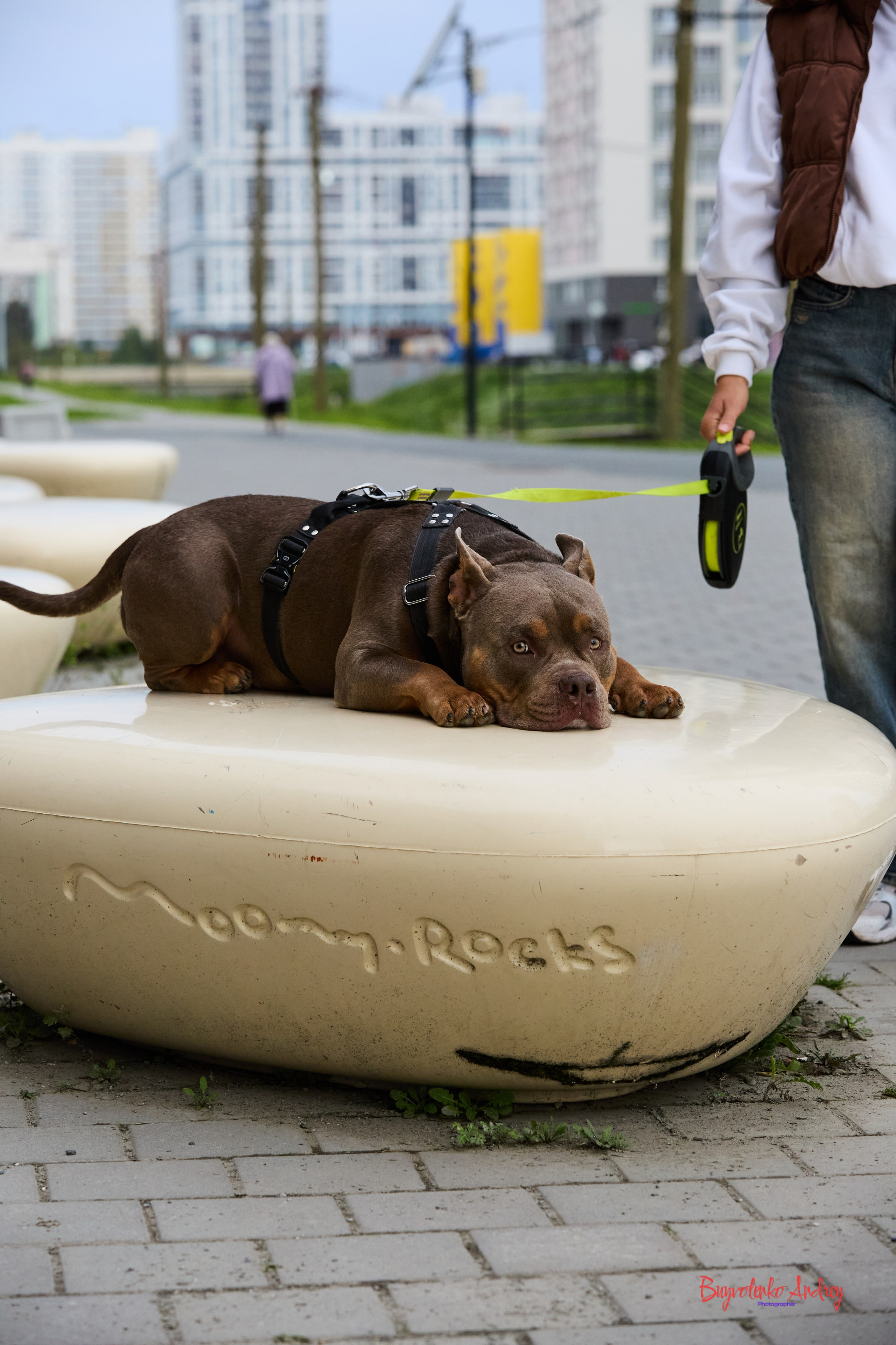 Проект фотопрогулка с хвостиком. Buyvolenko Andrey