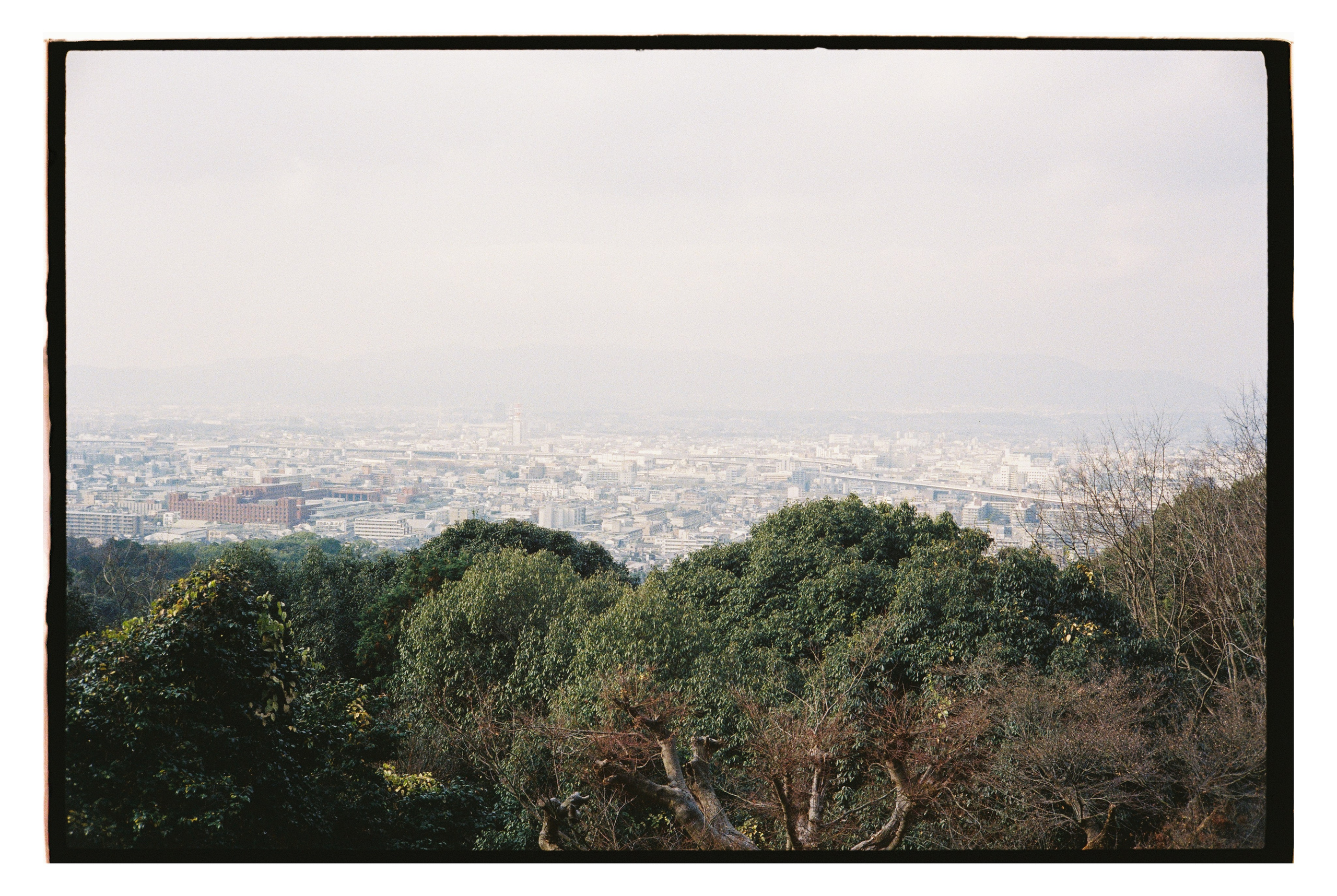 Japan. @tomrus: Рустам Шагиморданов — фотограф