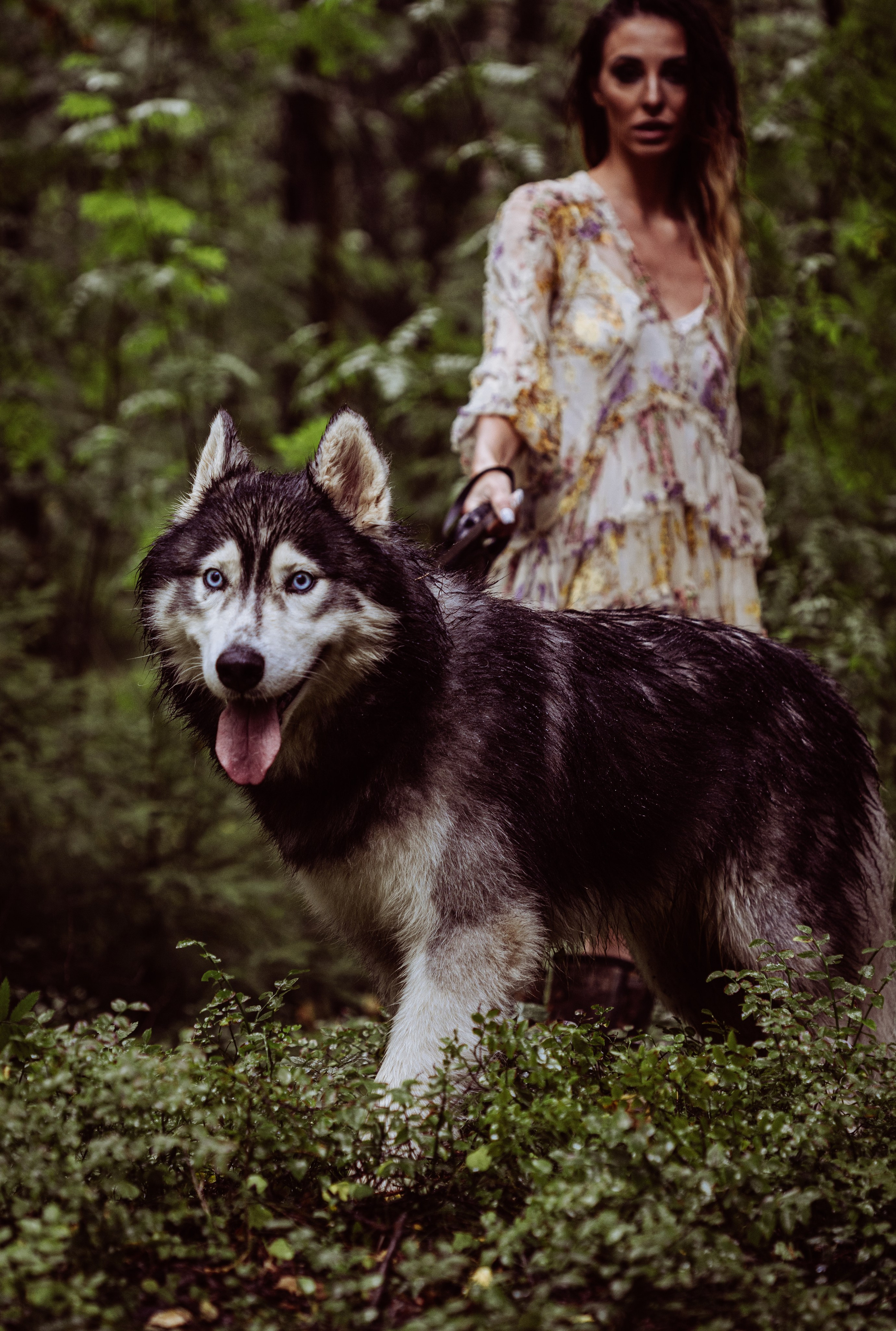Фотосессии с животными. Добродеева Алла фотограф, Москва