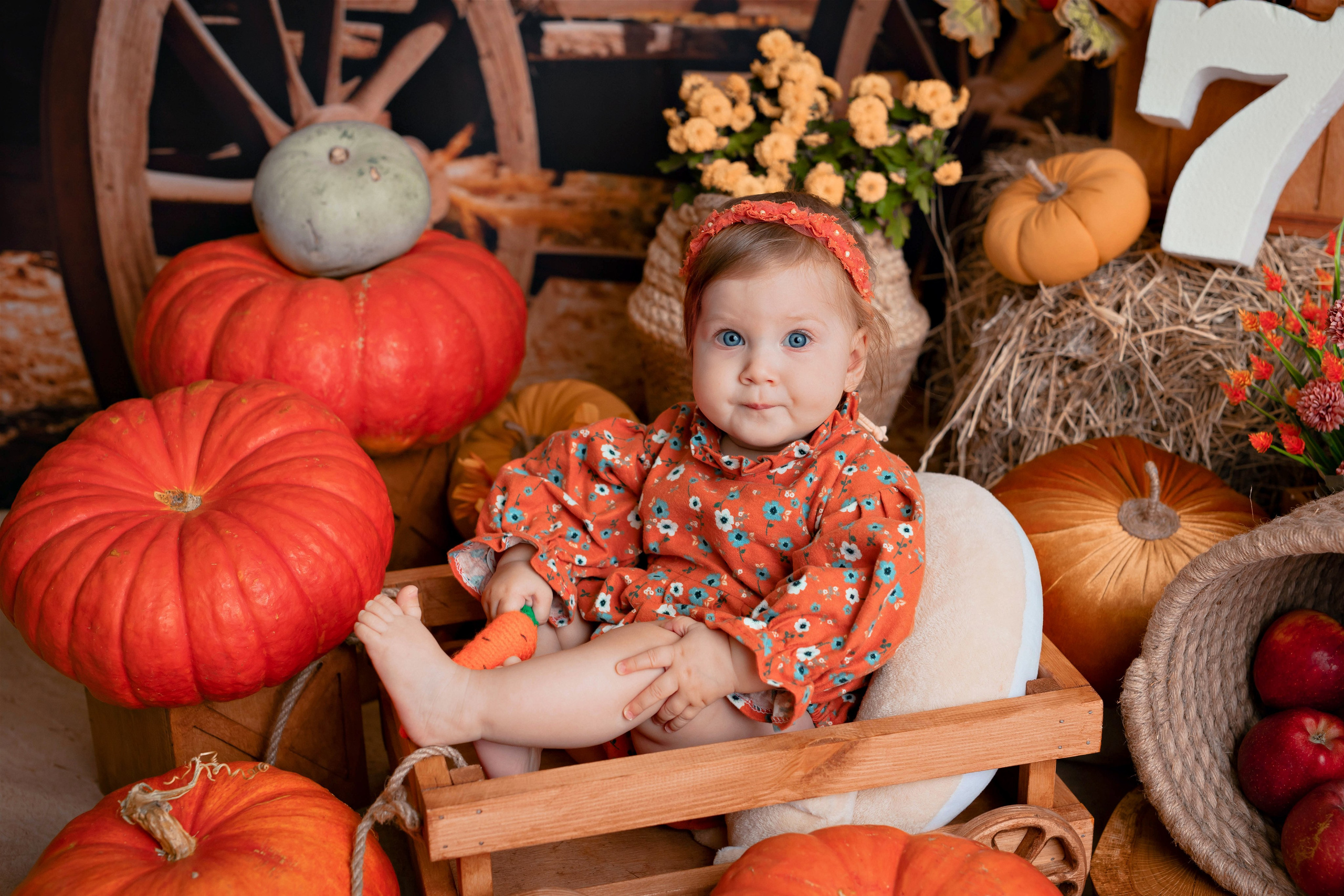 Тыквы. Фотограф Болотова Иветта