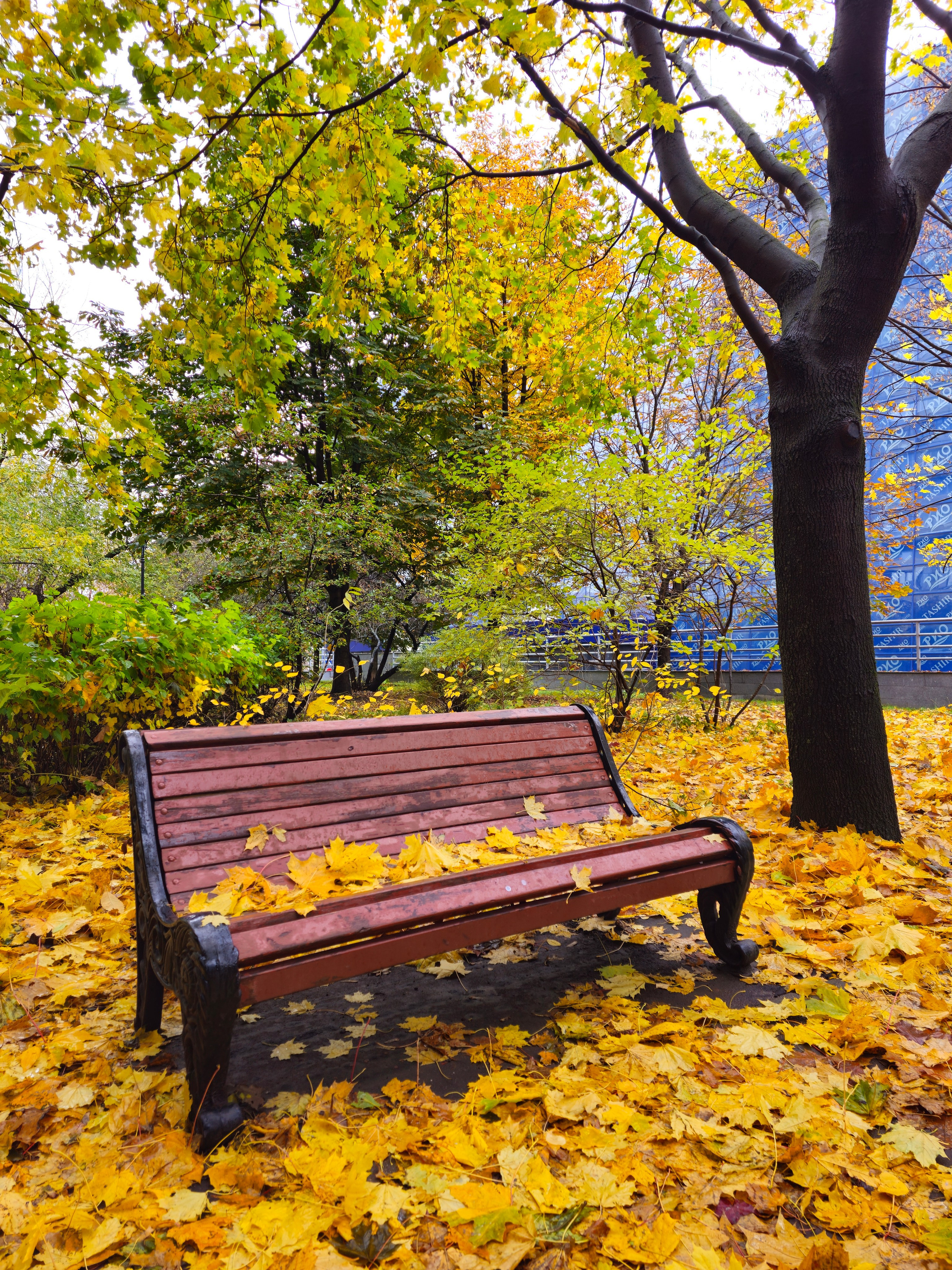 Ilaronsia эстетика фото визуал