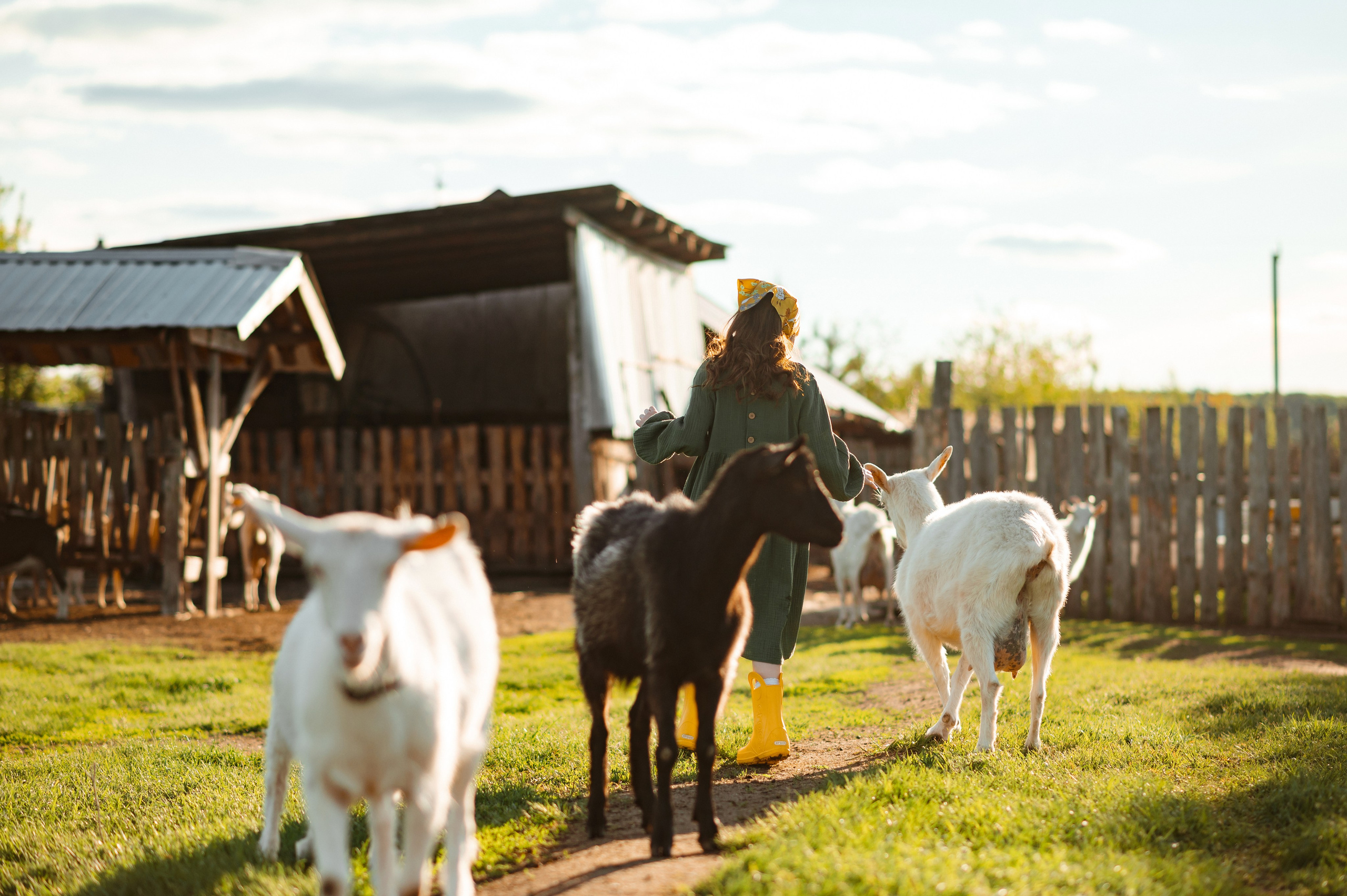 О любви к животным. Свадебный и семейный Фотограф в Пензе Татьяна Лапоногова