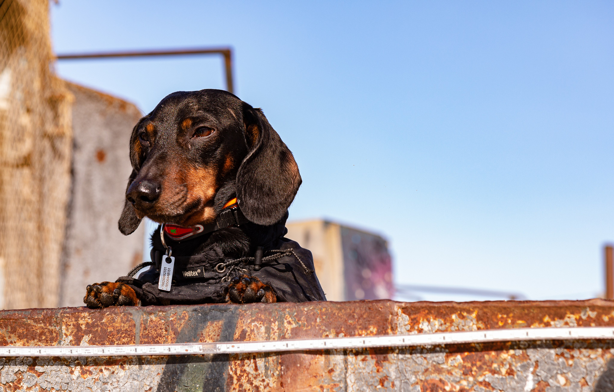 Байкал, зима 2023. Предметный и репортажный фотограф Алексей Кротов