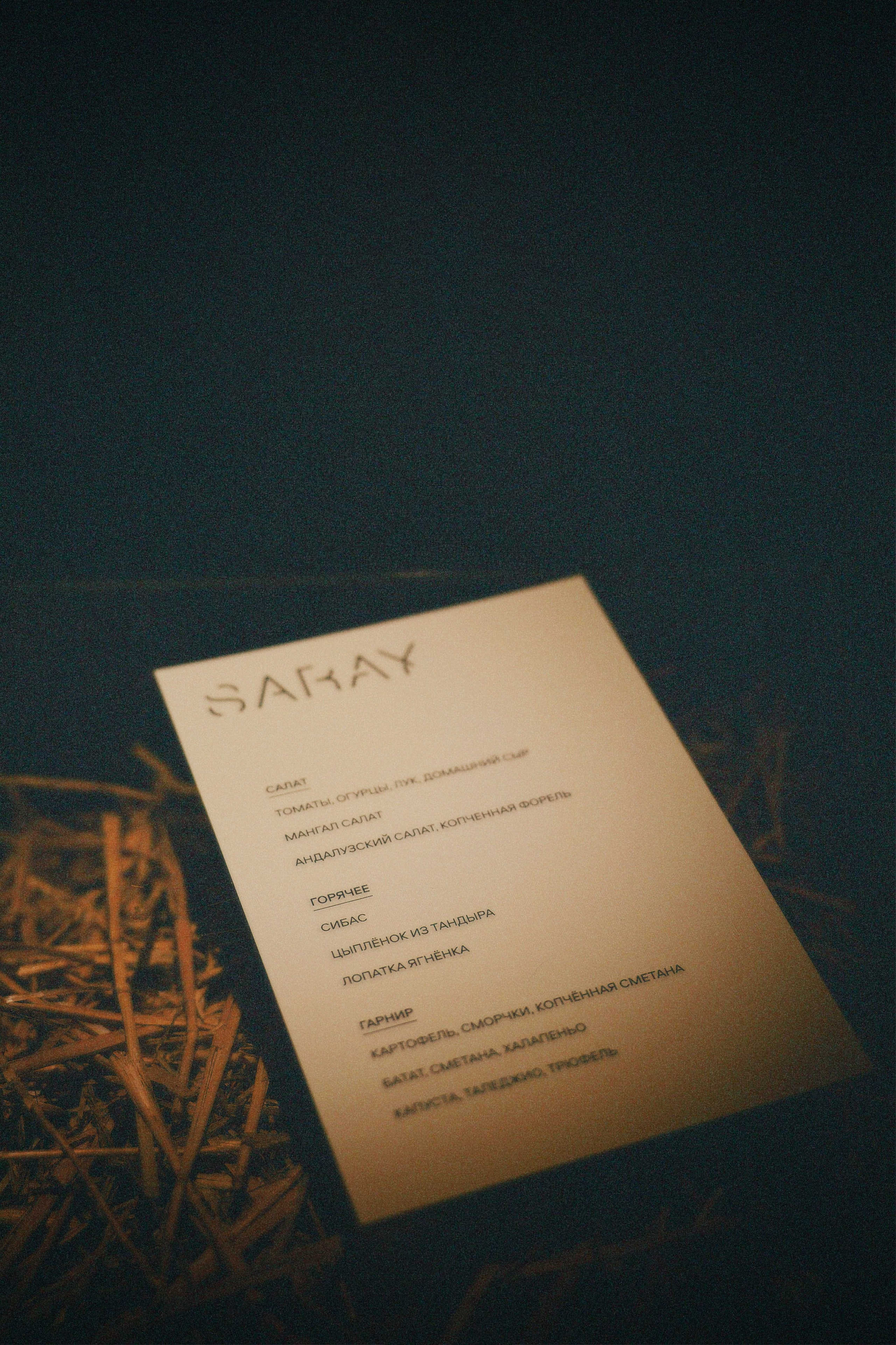 SARAY | 24.11.2025 | г. Москва, ресторан «Сарай». МашаШарики | Декоратор | Москва