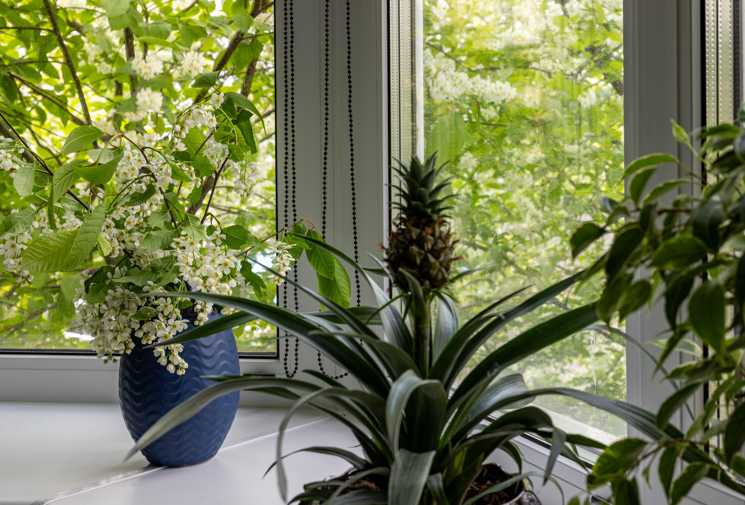 Жить на Литовской. Полина Носкова интерьерный фотограф