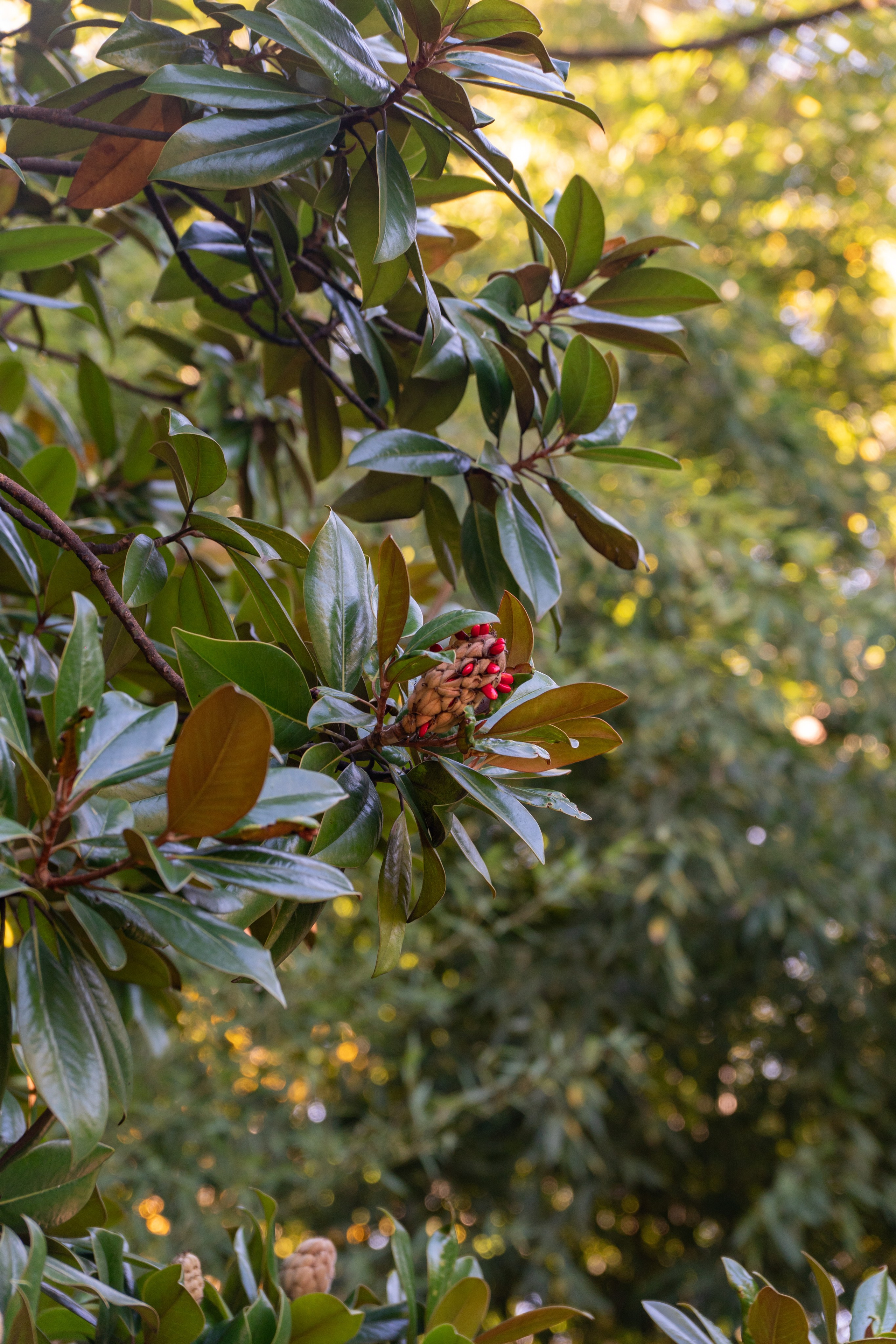 Абхазия. Gusarov Travel Photography