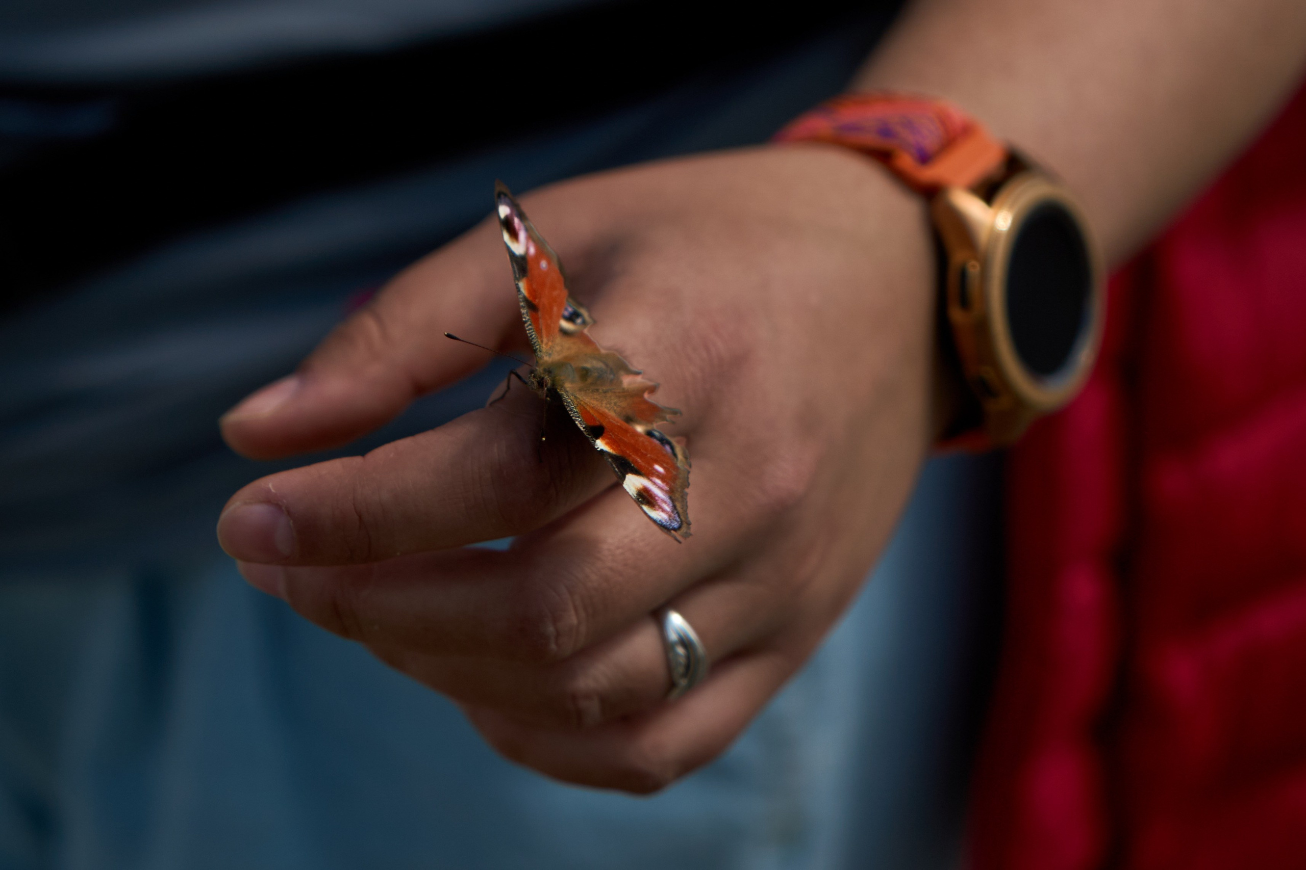 RDS OPEN st2. Атрон, Рязань. FM Media Сrew. Репортажные фото и видео