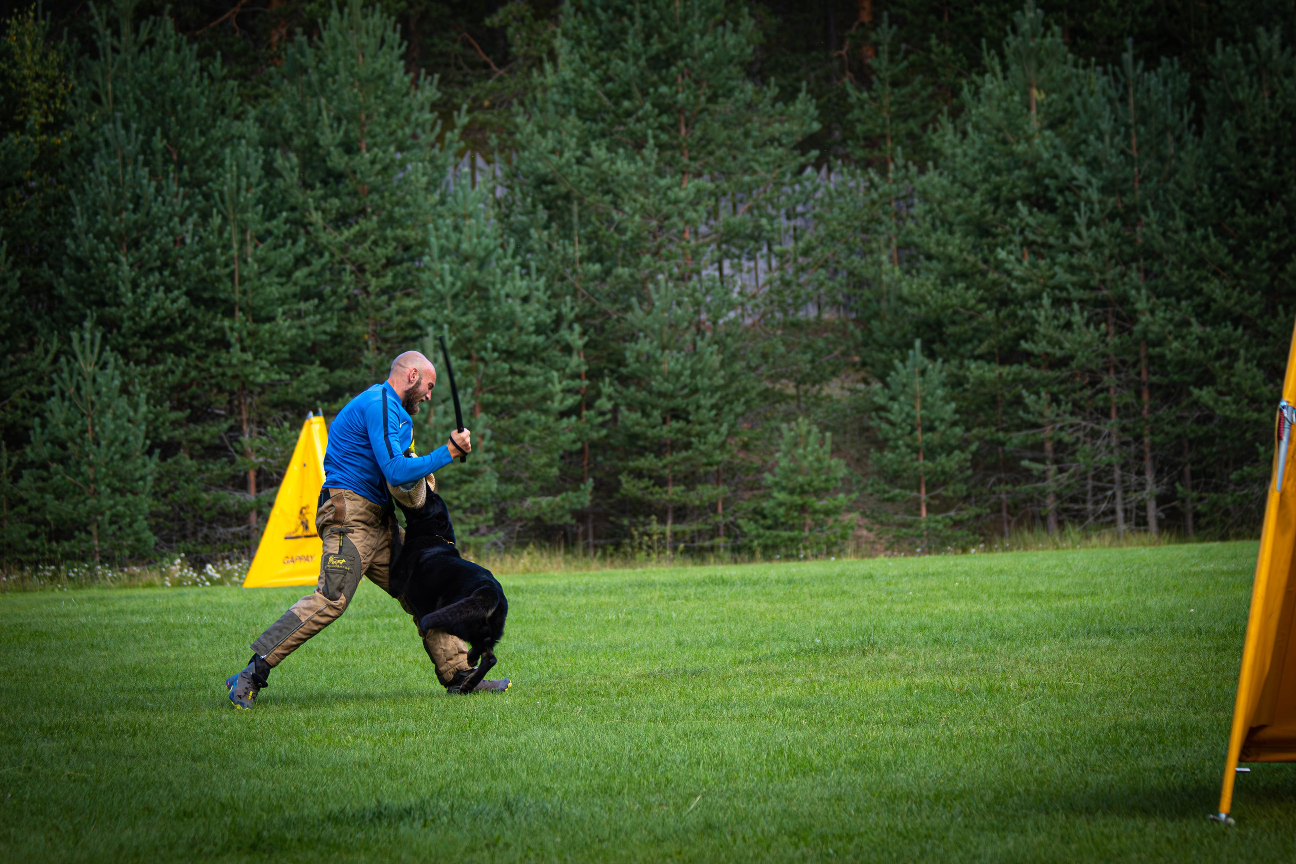 Фотограф анималист репортаж. Фотограф анималист — Тула, Москва