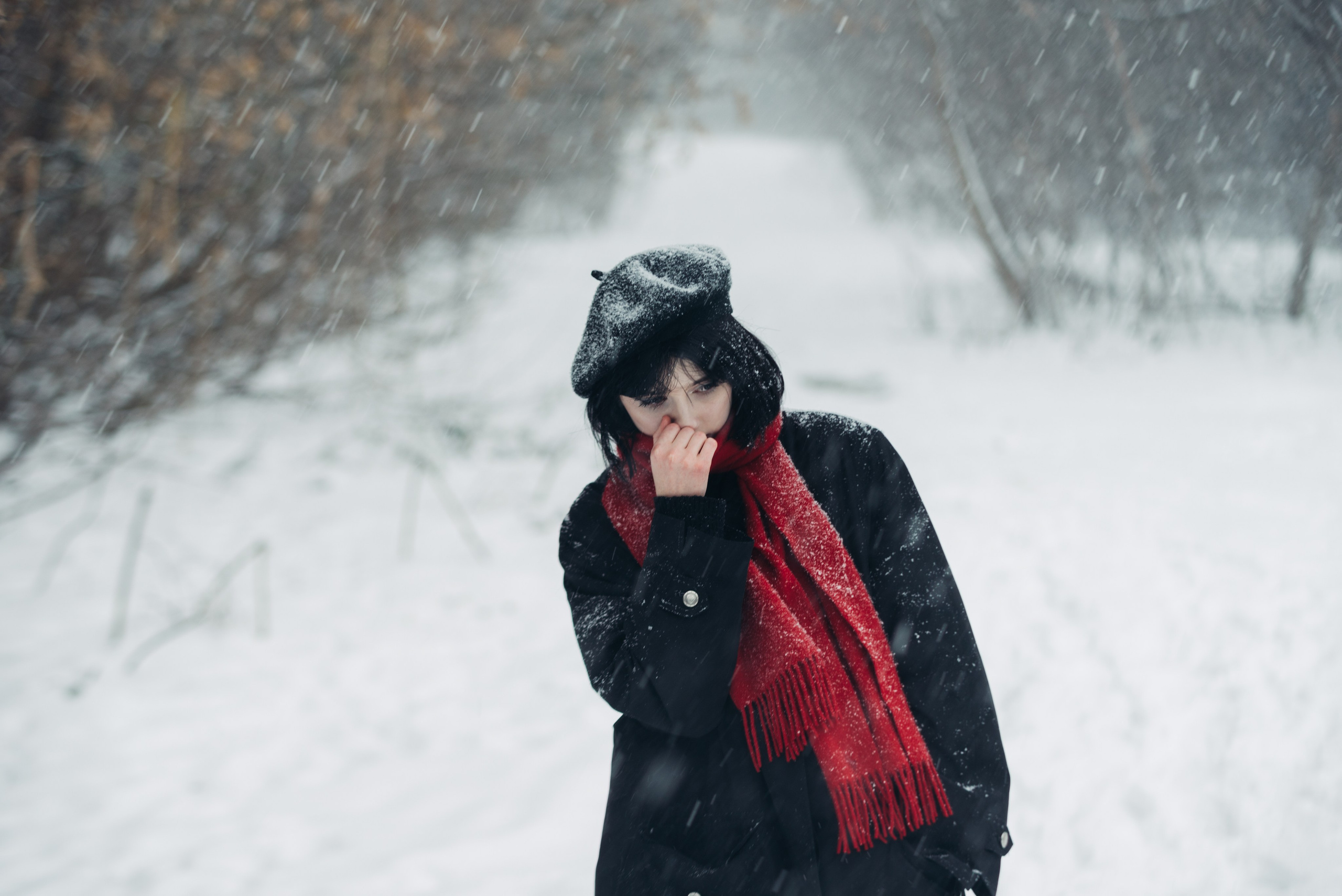 Снег и Красный. Главная