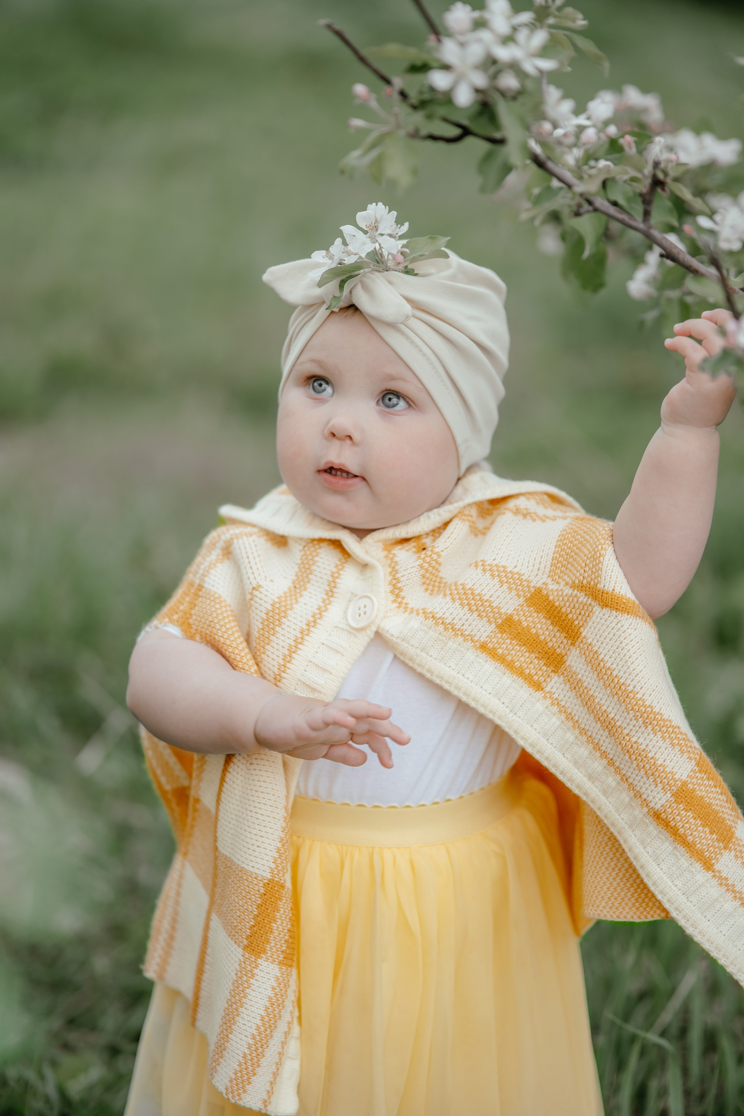 Весенняя, цветущий яблоневый сад. Ольга Плаксина фотограф в Саратове