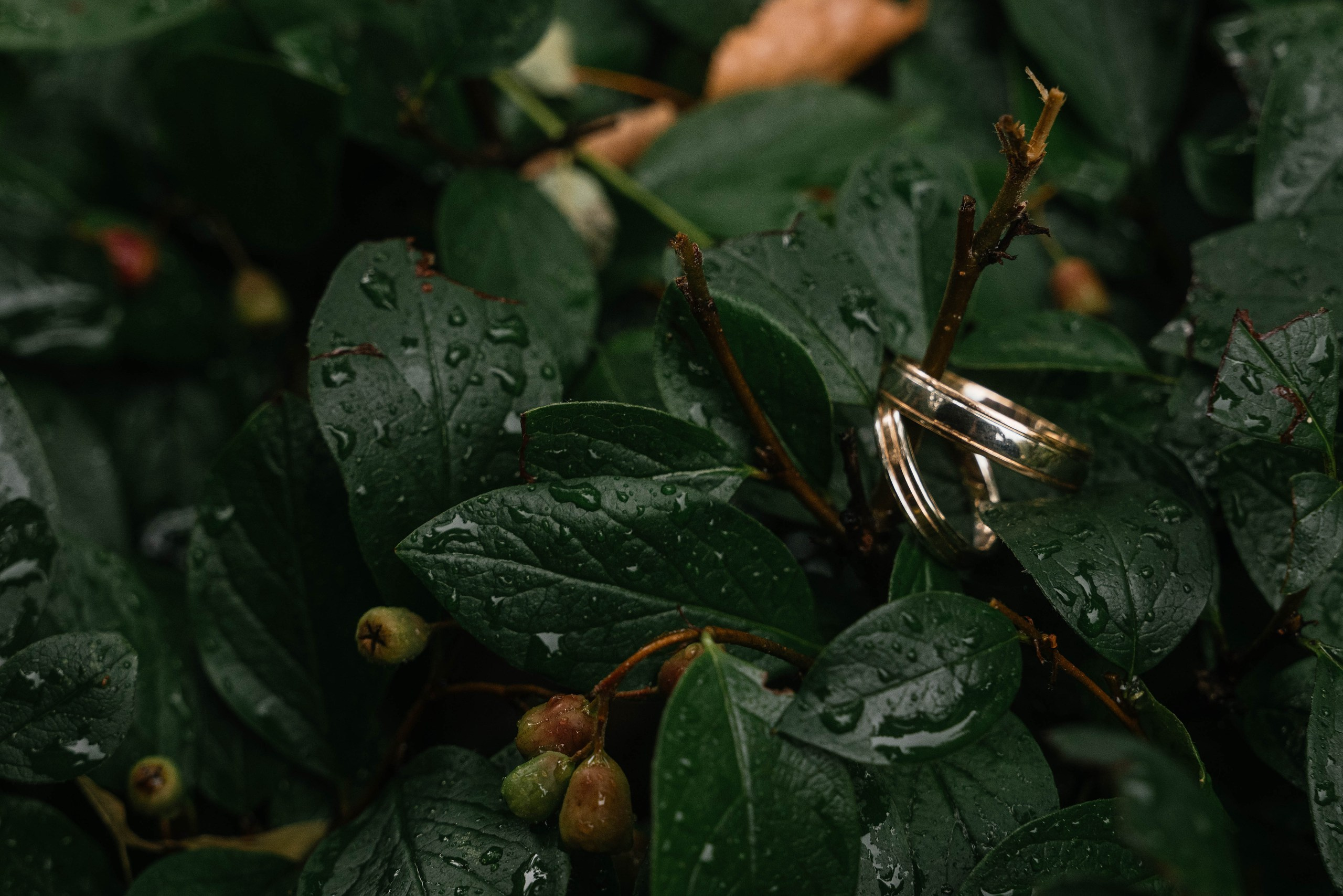 Wedding day #86. Свадебный, семейный фотограф в Рязани Лена Брант