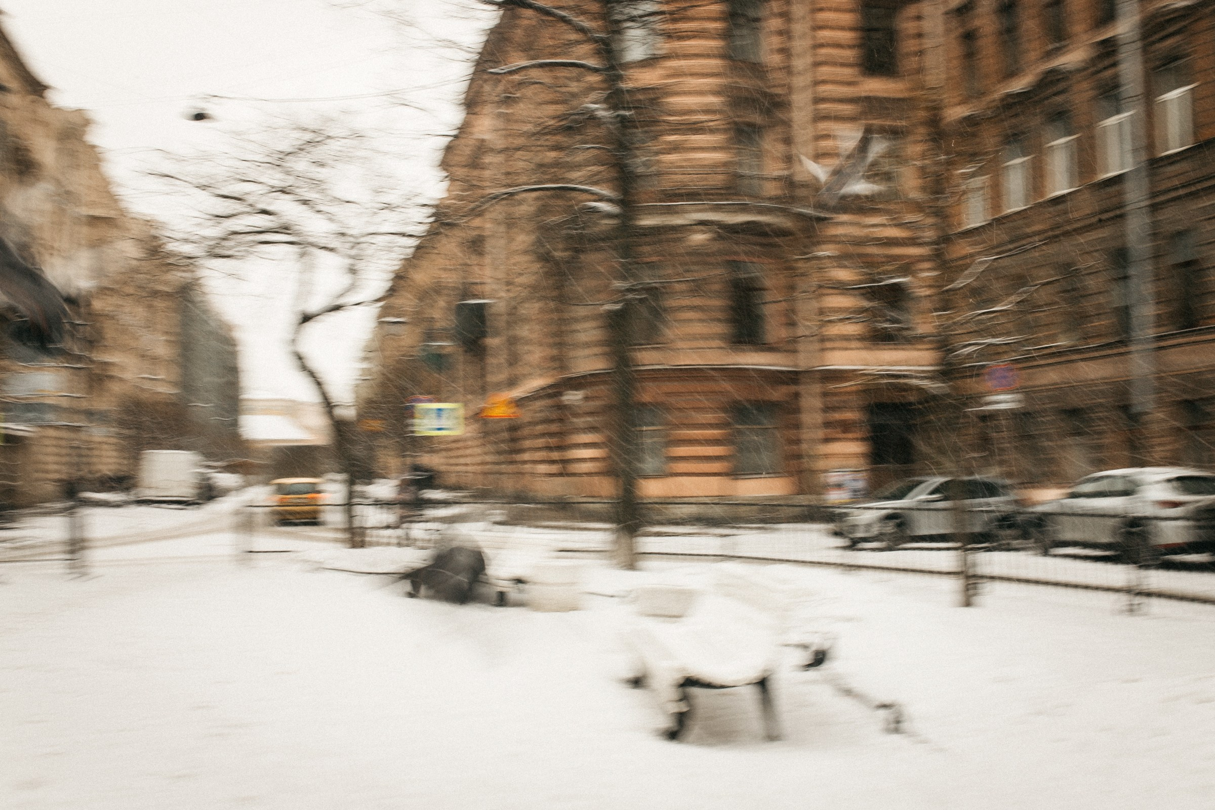 Фотопрогулка в Питере