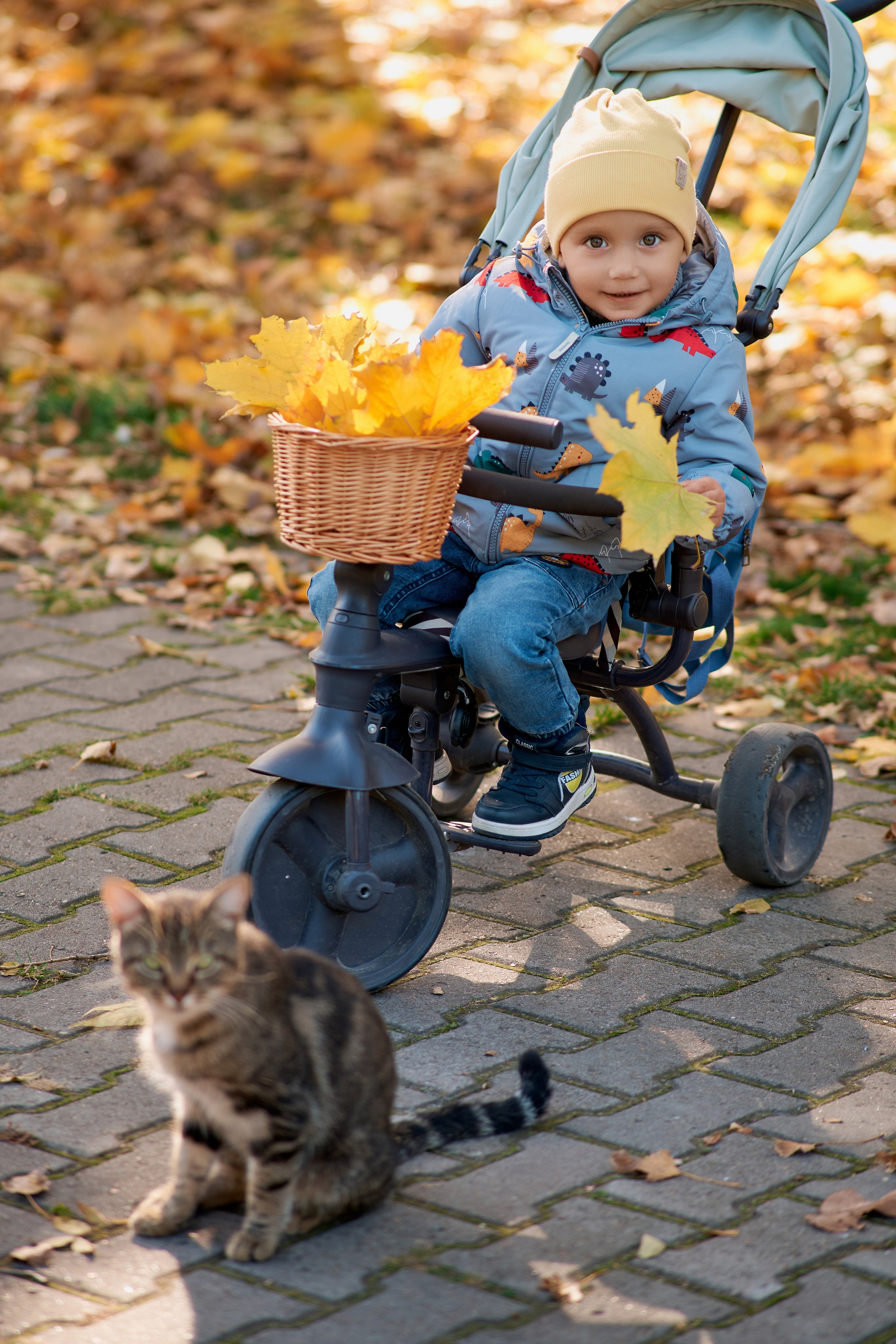 Осенняя прогулка мамы с сыном. Фотограф Таганрог Анна Трайжон